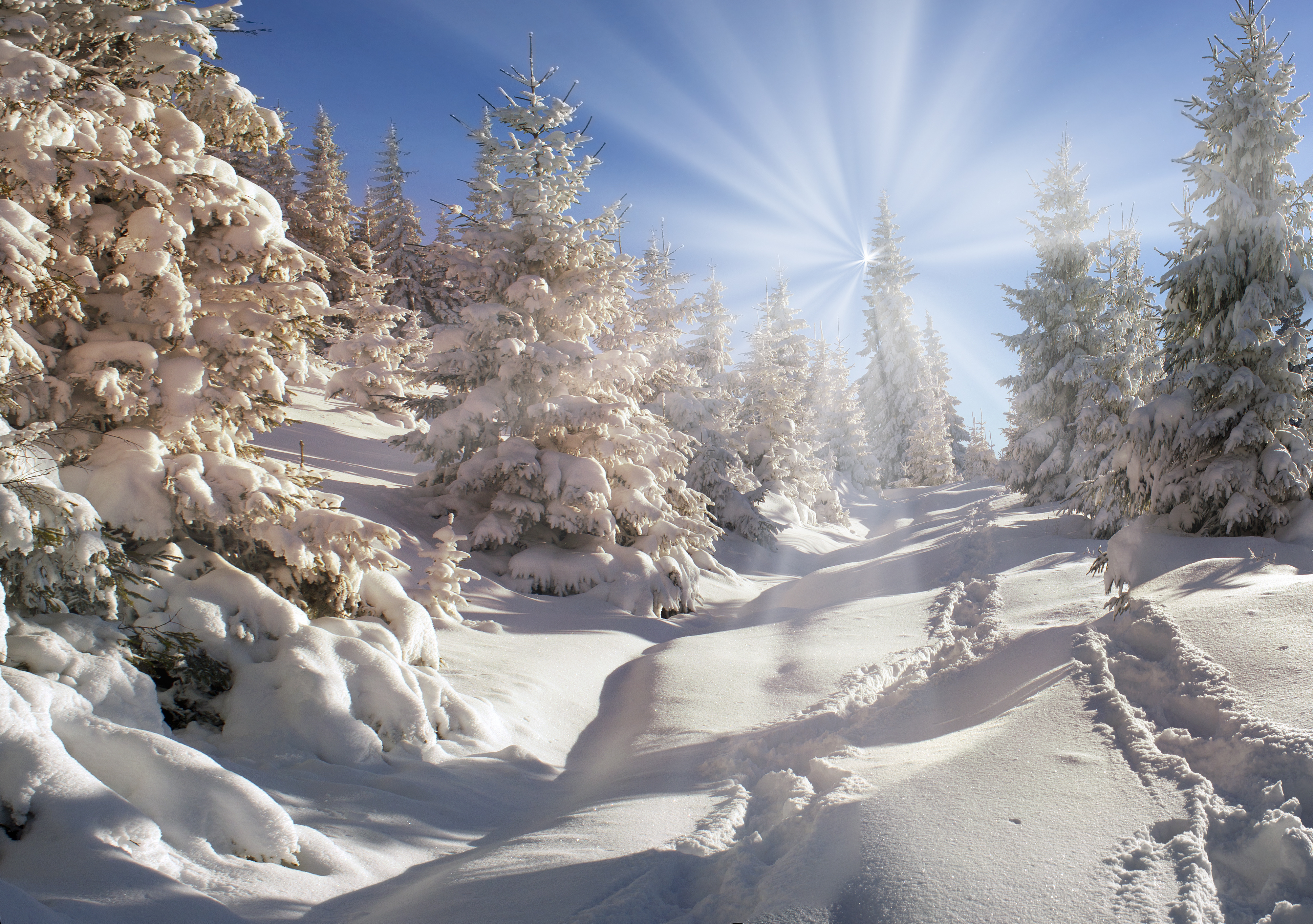 冬季雪风景4K壁纸_8415
