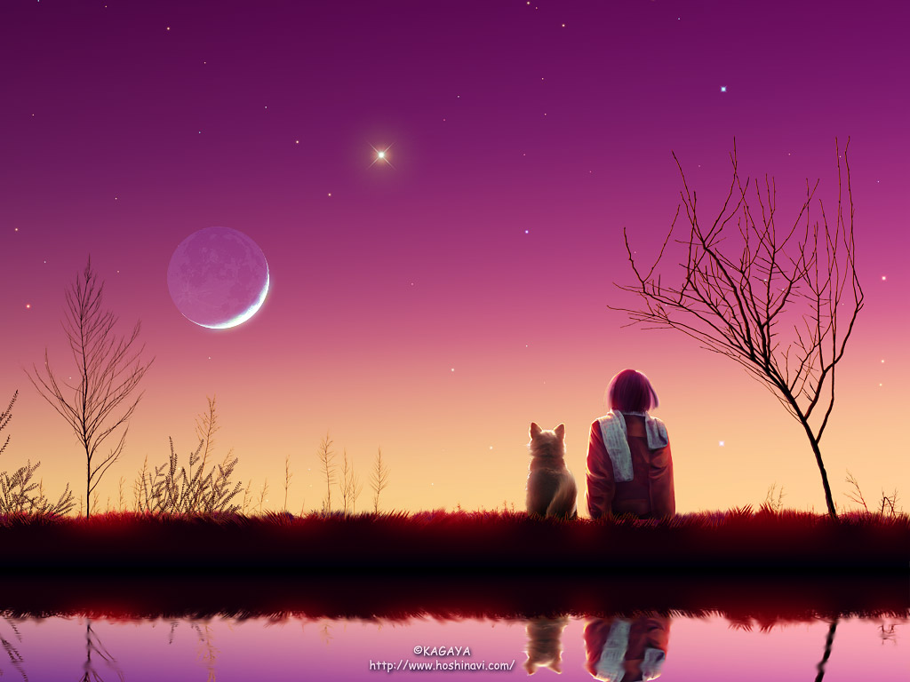 卢纳花园 梦幻星空图片_4352