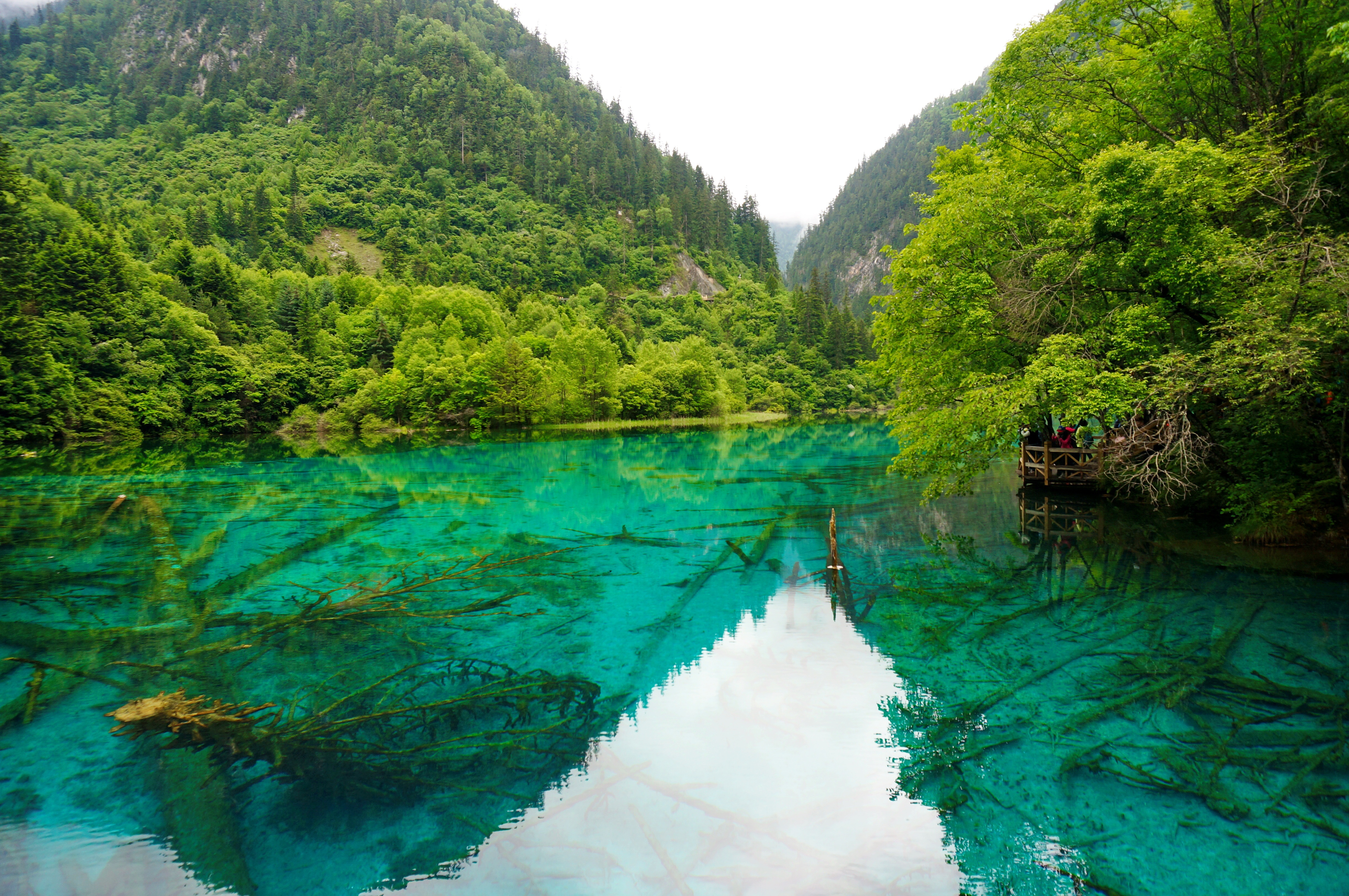 四川九寨沟湖面自然风景_11095