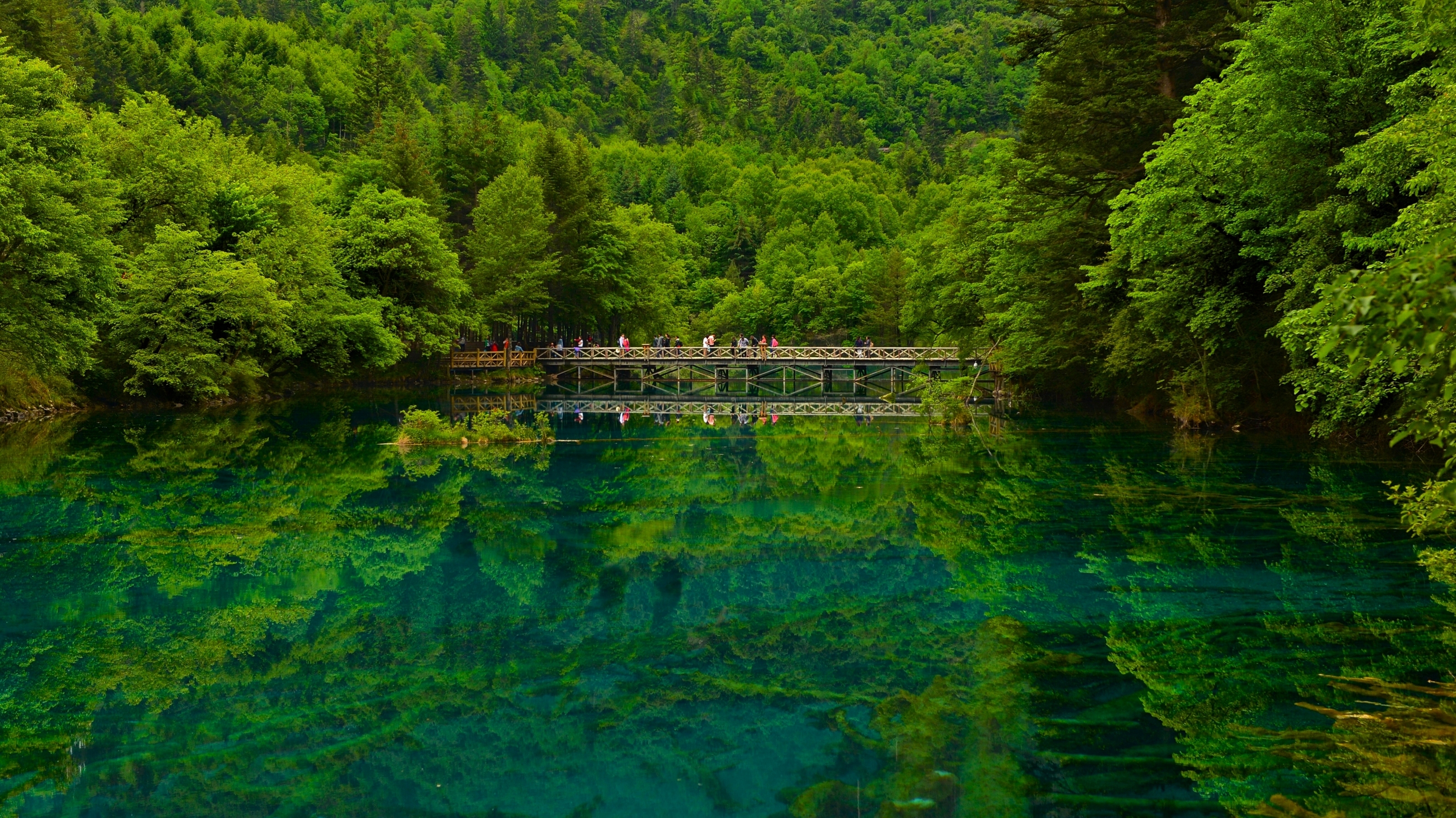 四川九寨沟风景 湖 桥_4330