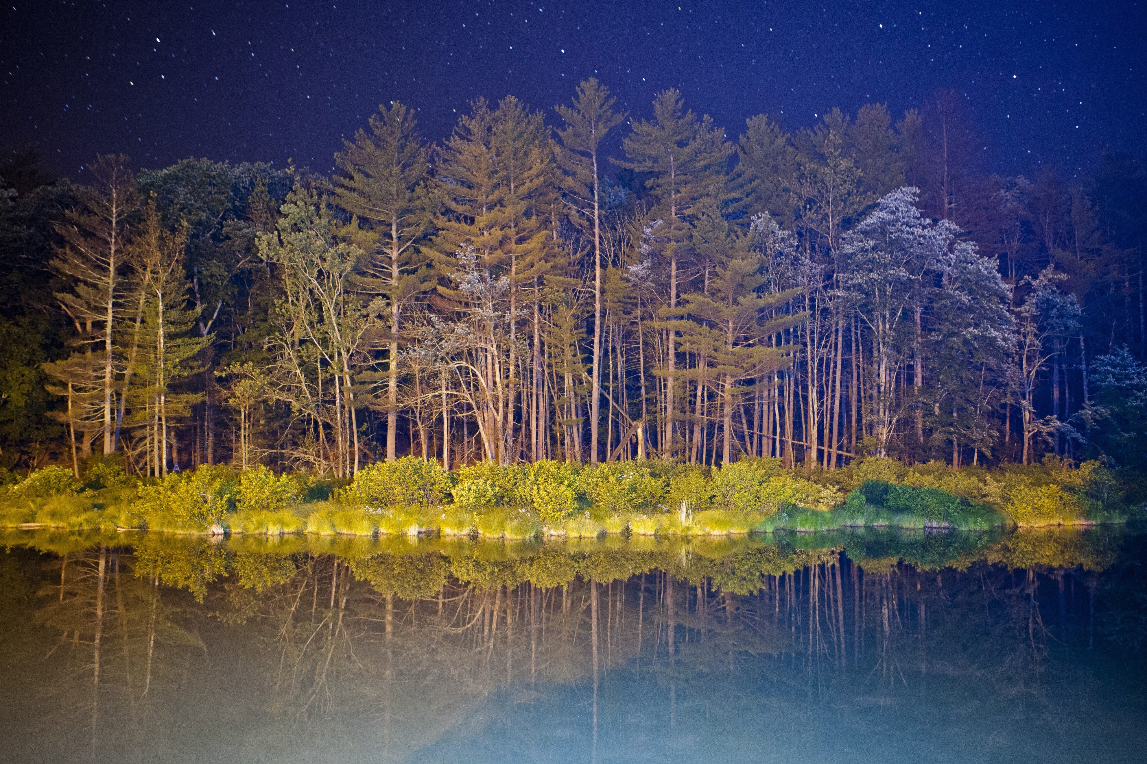 夜星光 天空 树木 4k风_6730