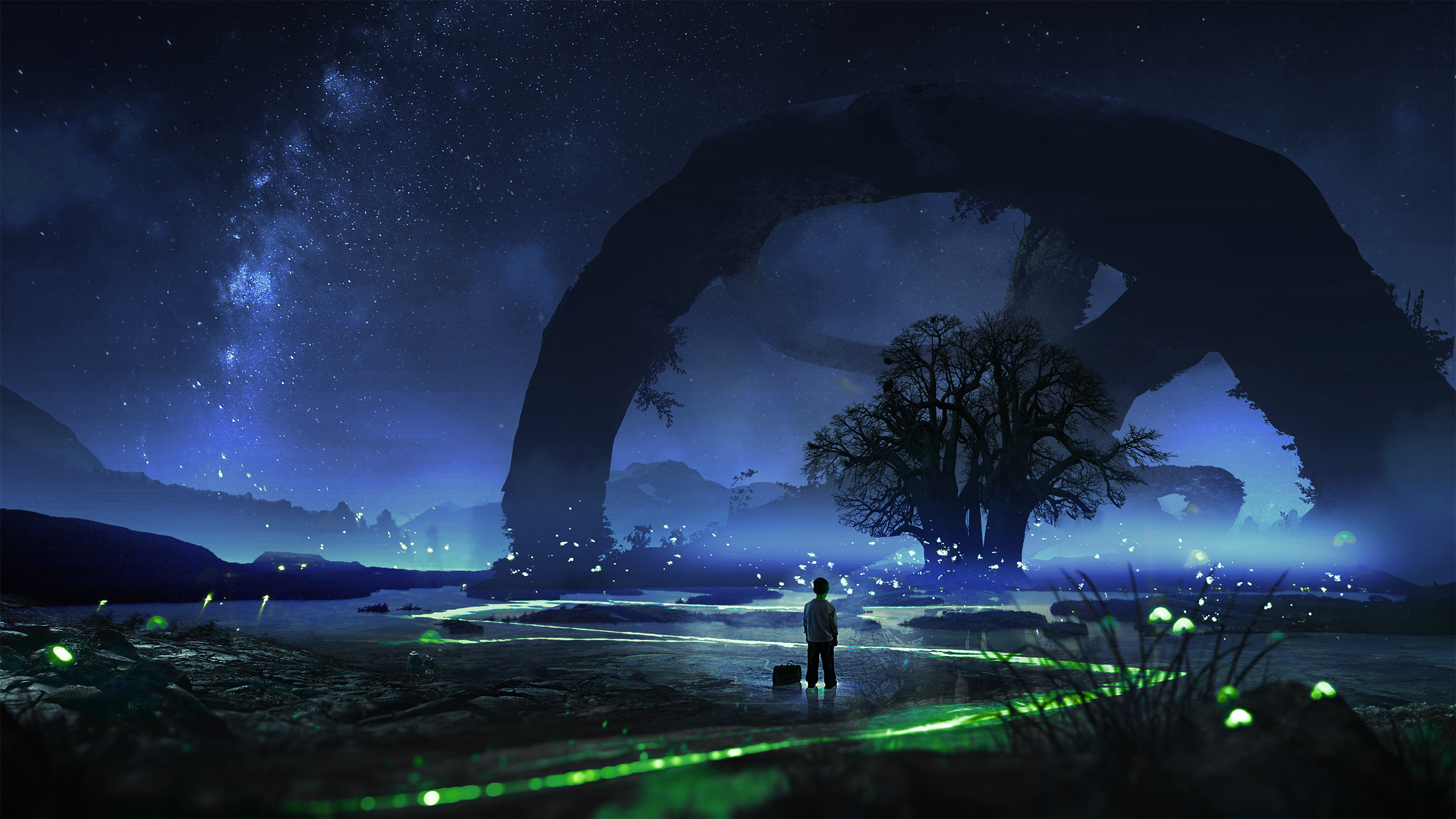 夜晚星空一个小男孩唯美_14311