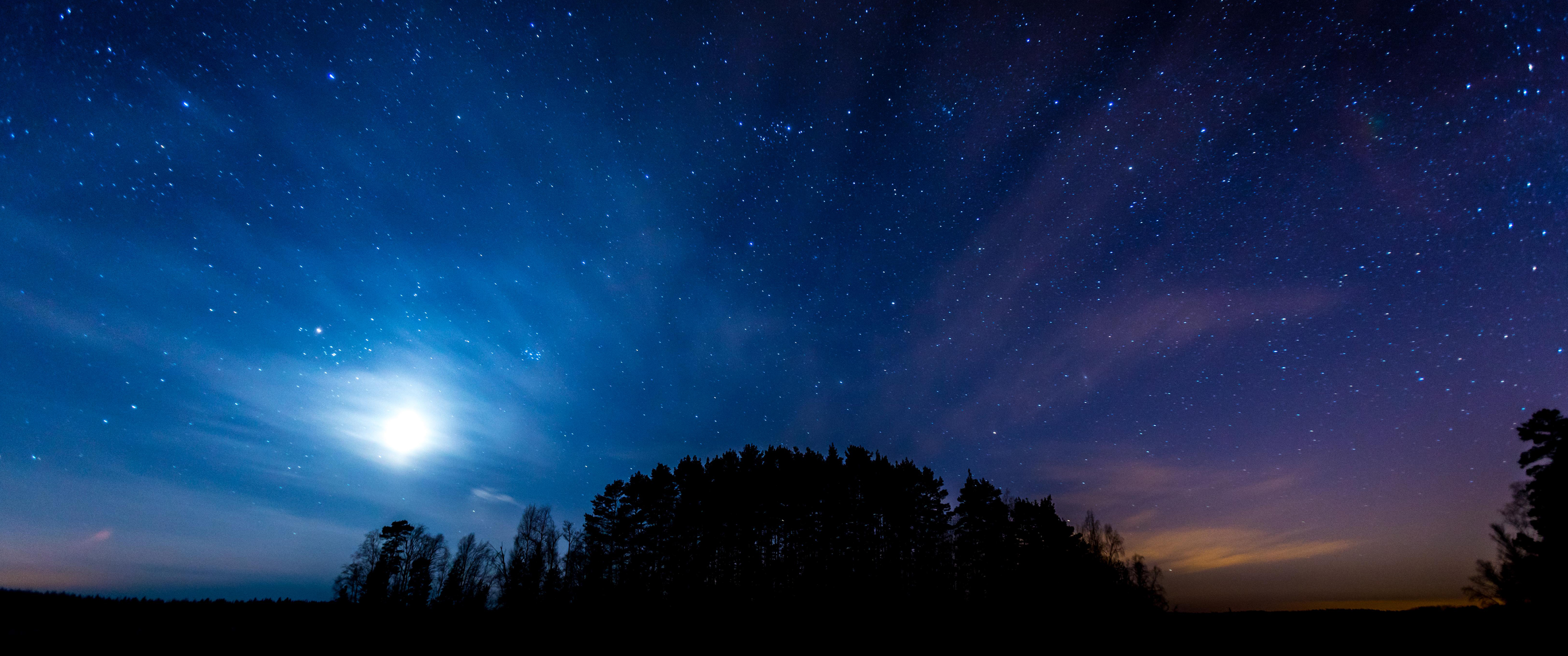 夜晚星空树林3440x1440_16619