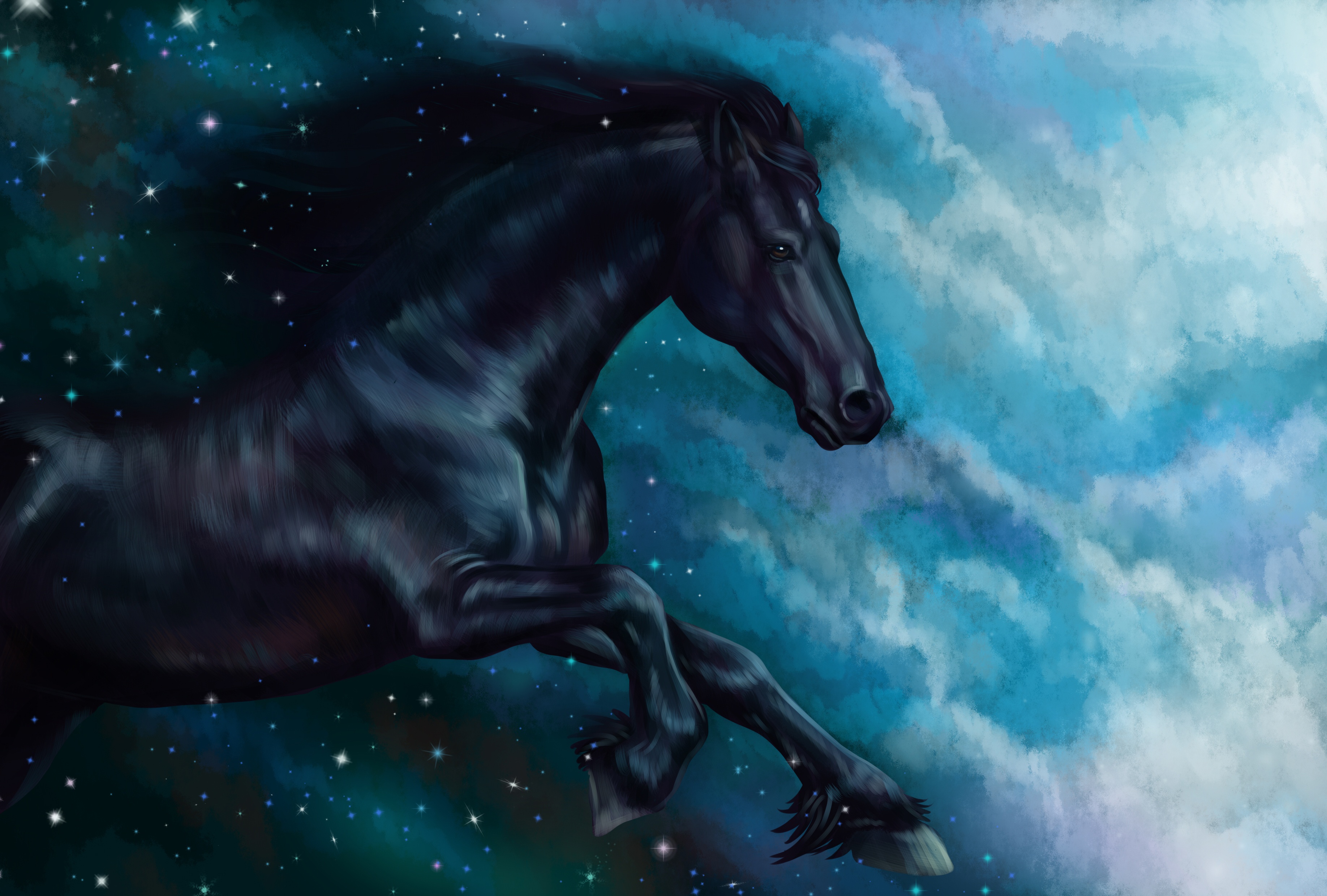 夜晚的天空 云 星星 马_13038