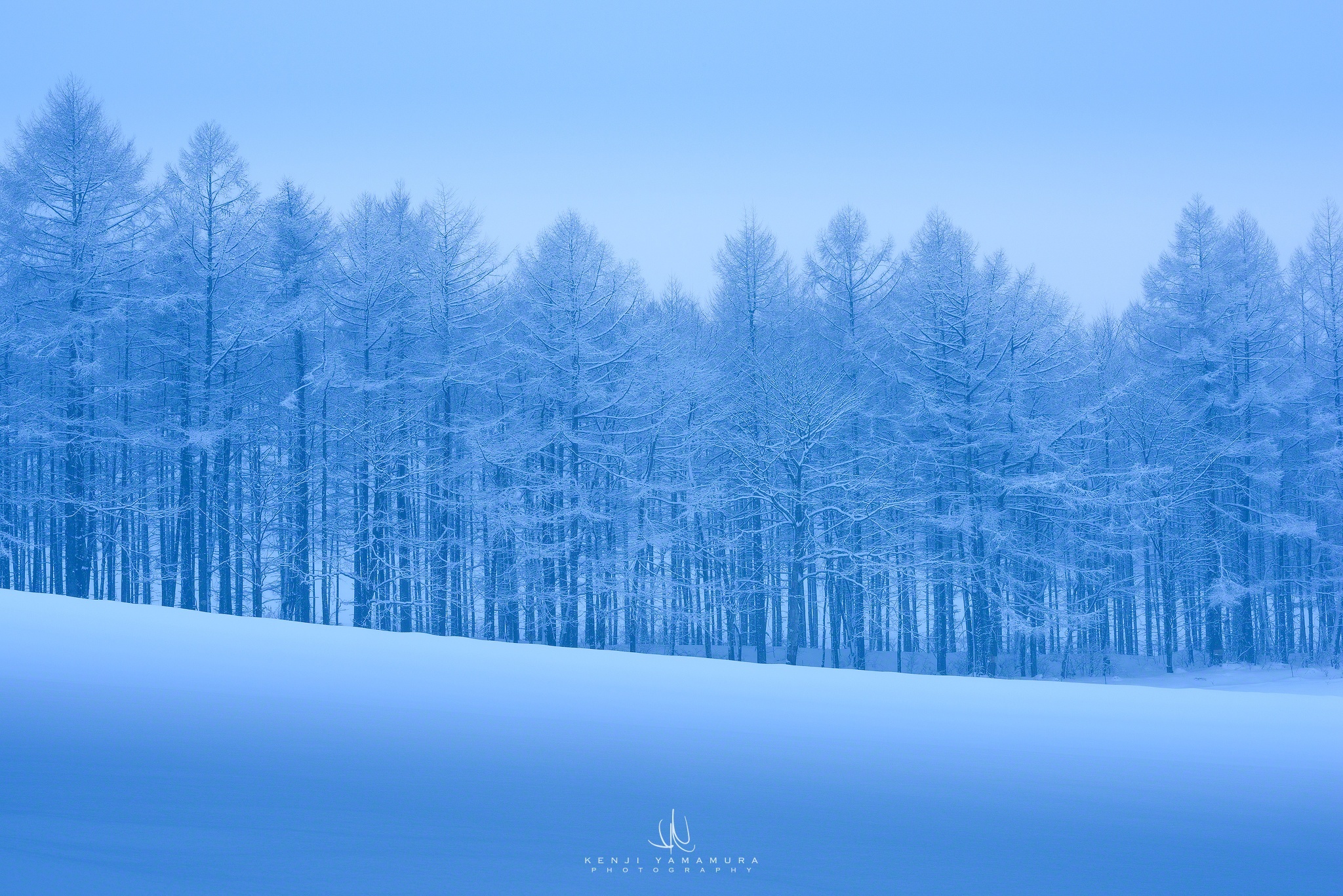 寒冷的冬天,雪,霜,树木_3901