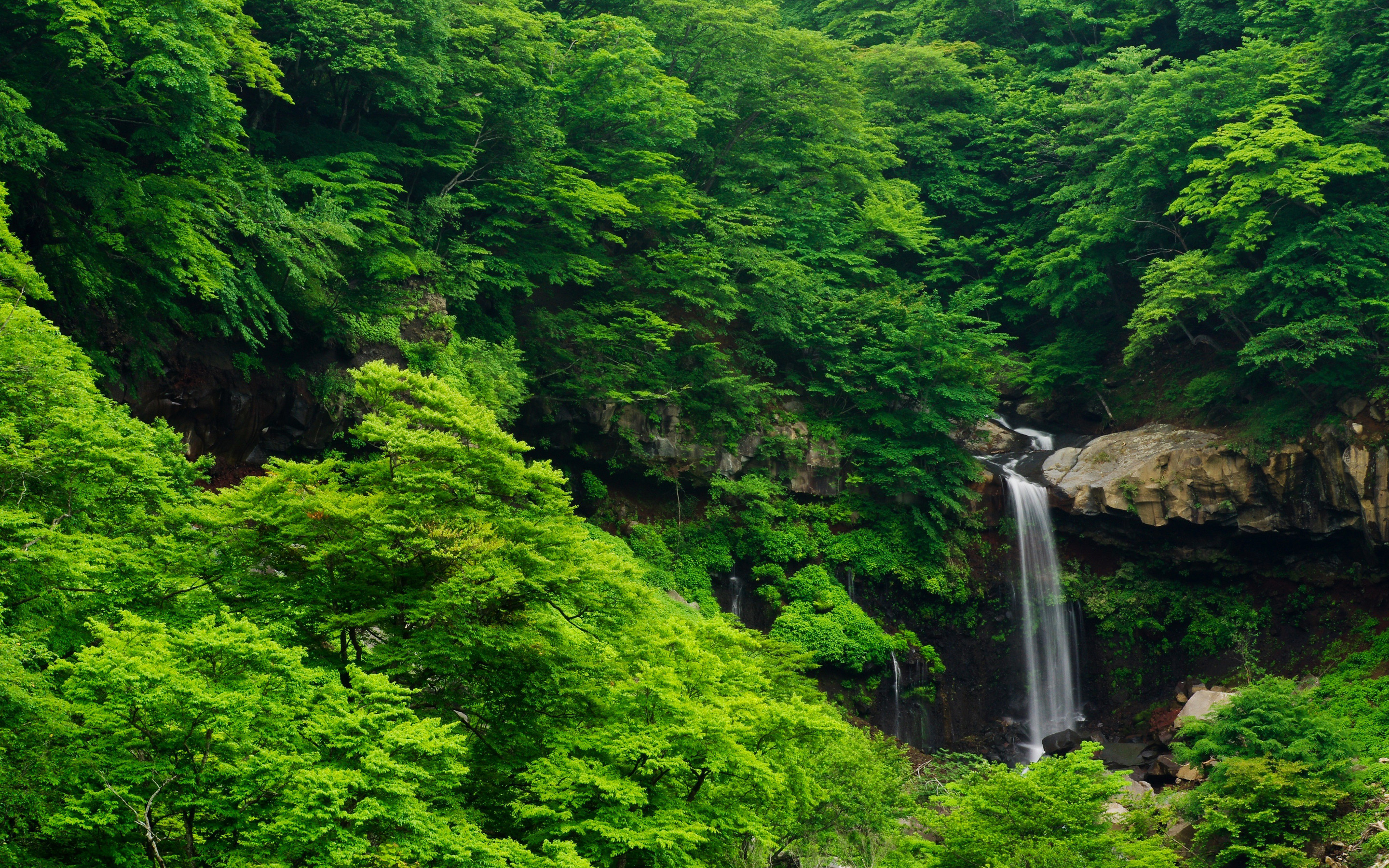 小溪瀑布绿色自然风景图_4756