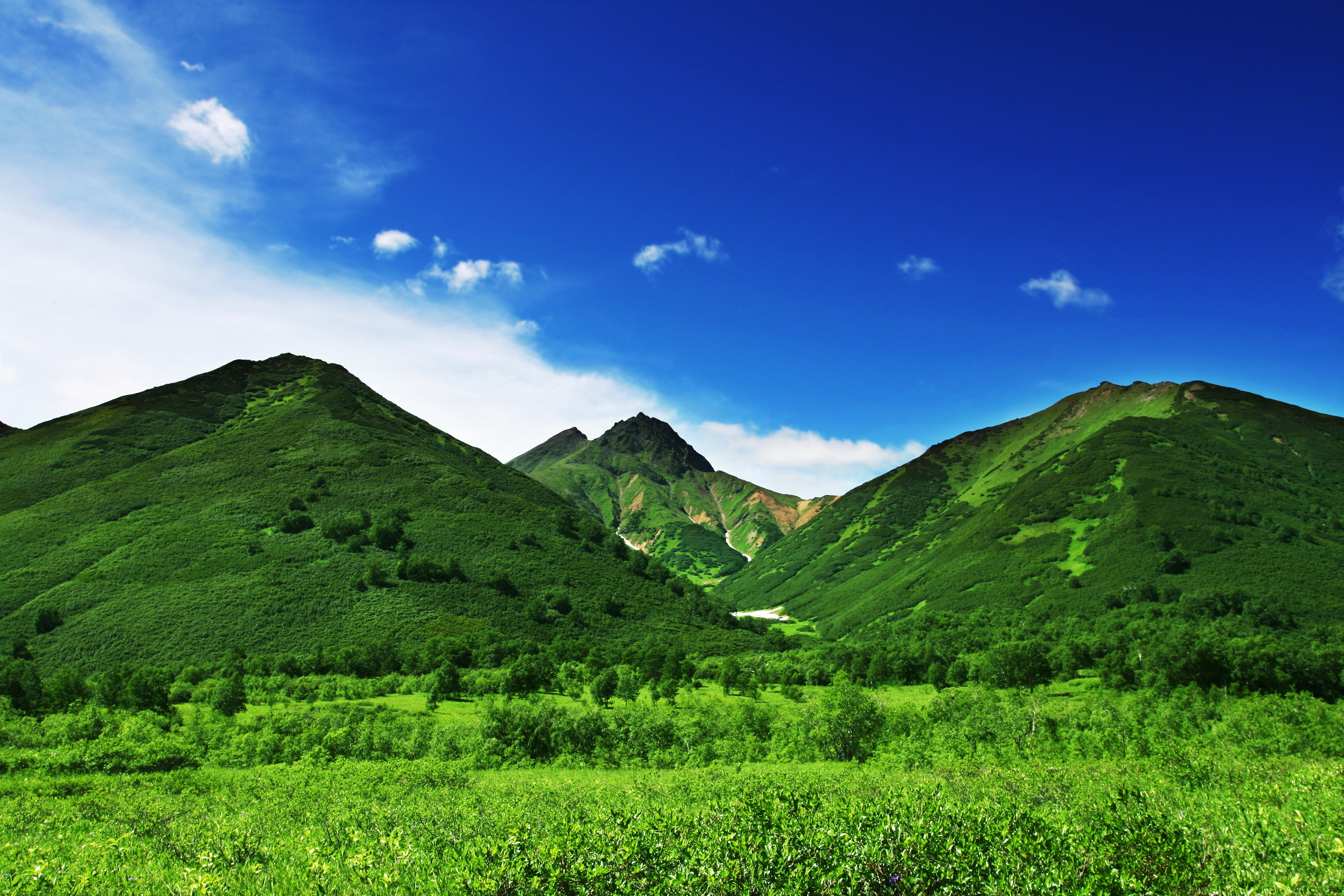 山 自然 绿草 天空 4K风_9353