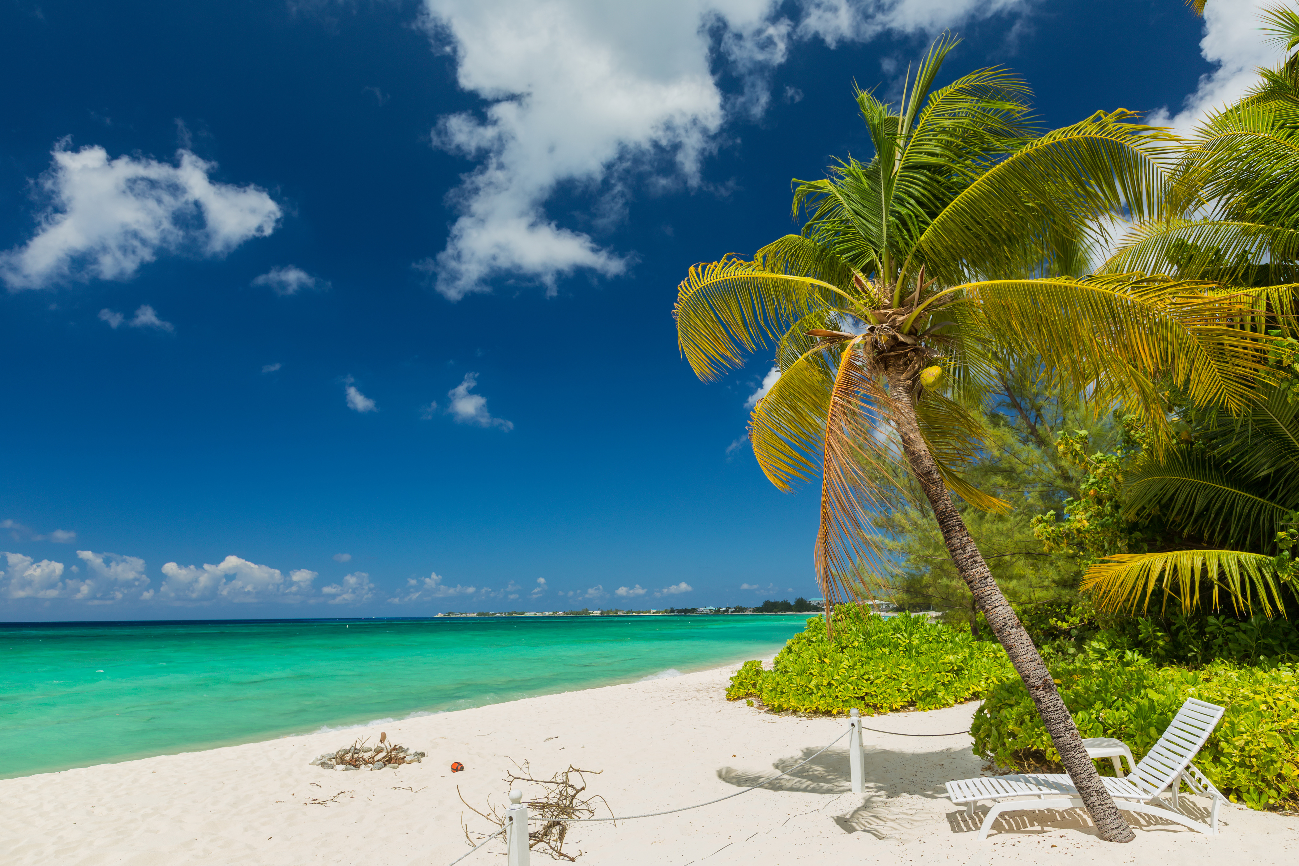 夏季海滩海边棕榈树风景_8129