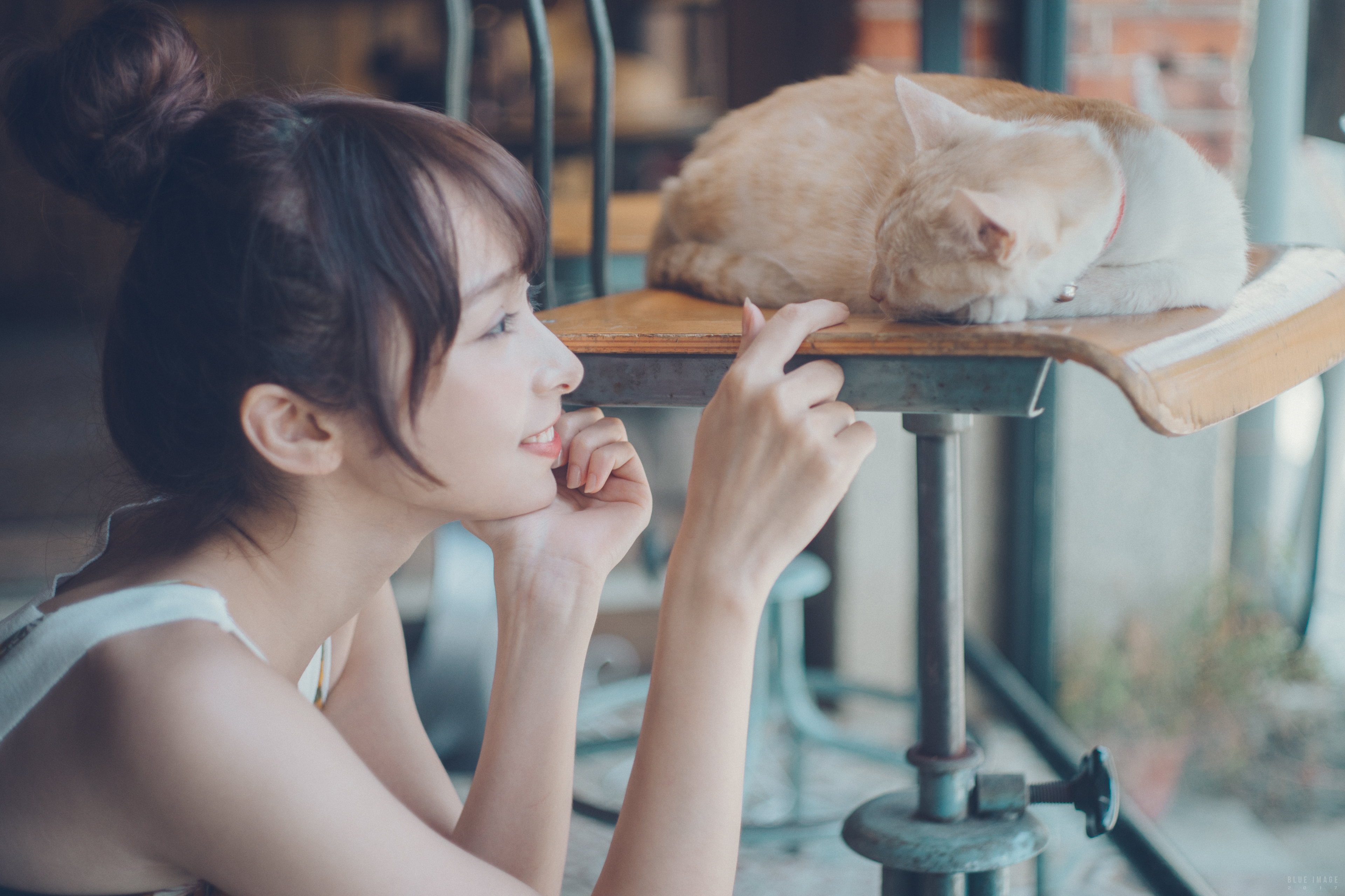女孩和猫4k图片_20573