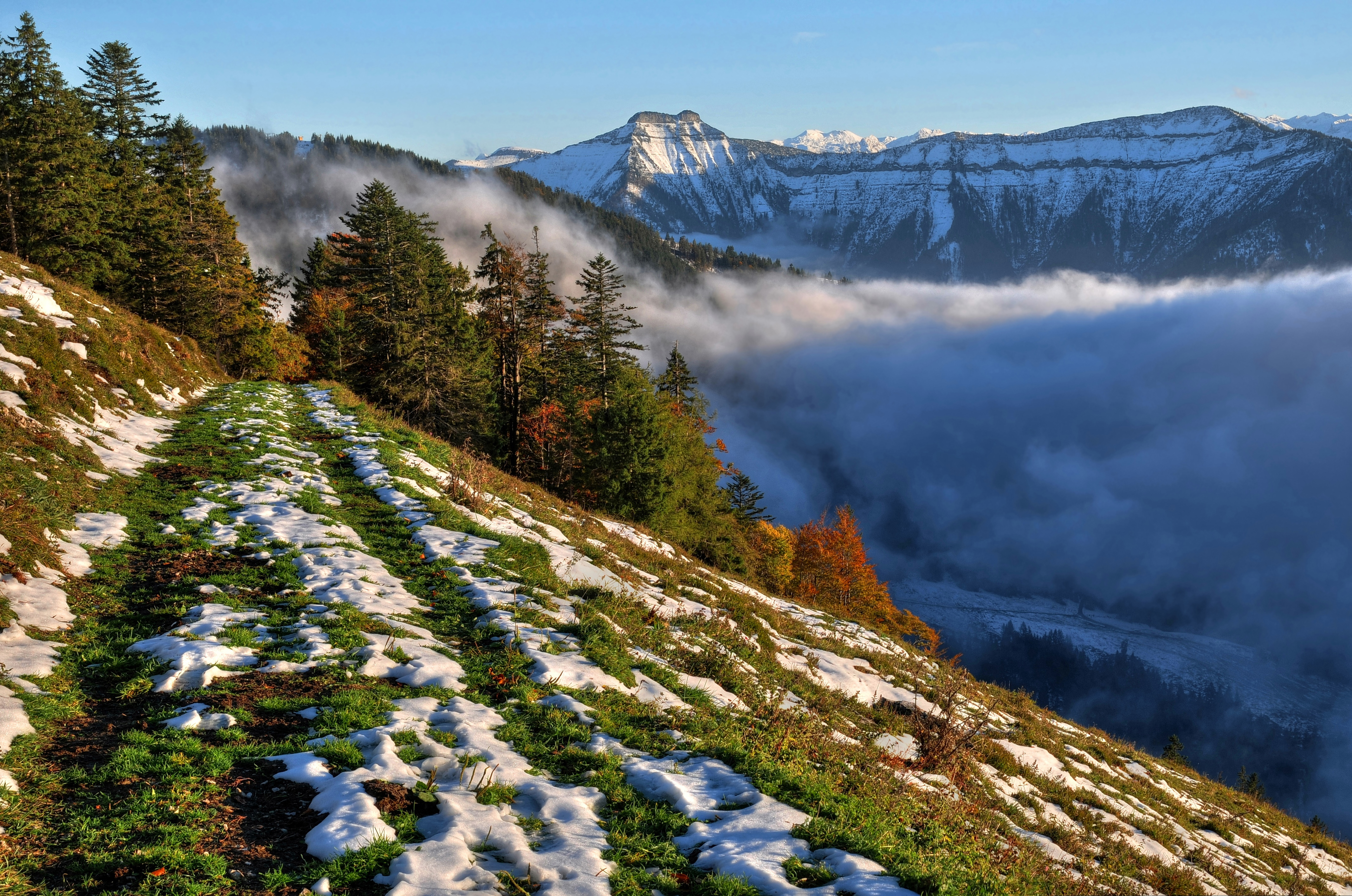 山坡 雪 树木 山 薄雾 4_7123