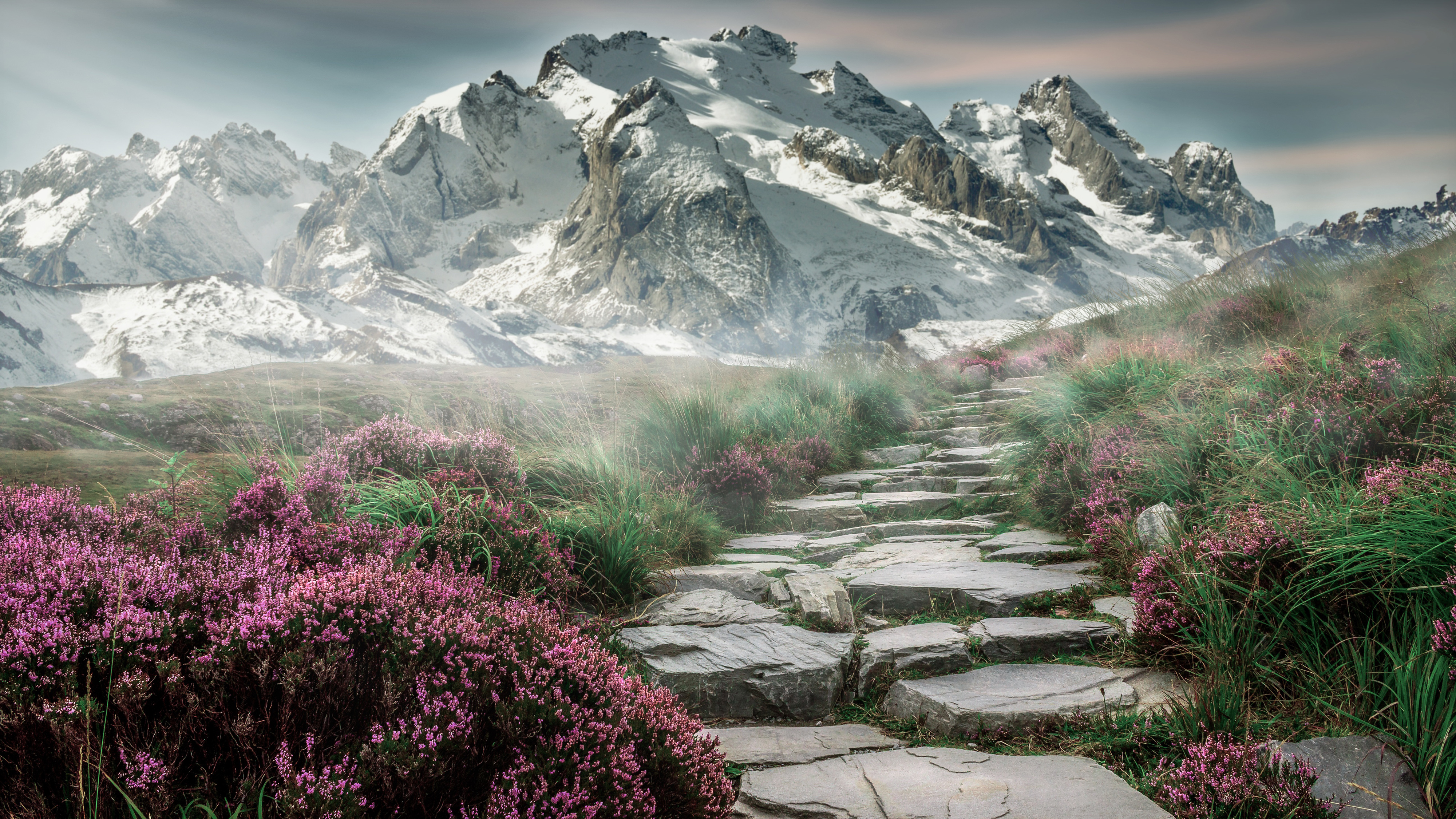 山峰 高山 花 4k风景图_5788