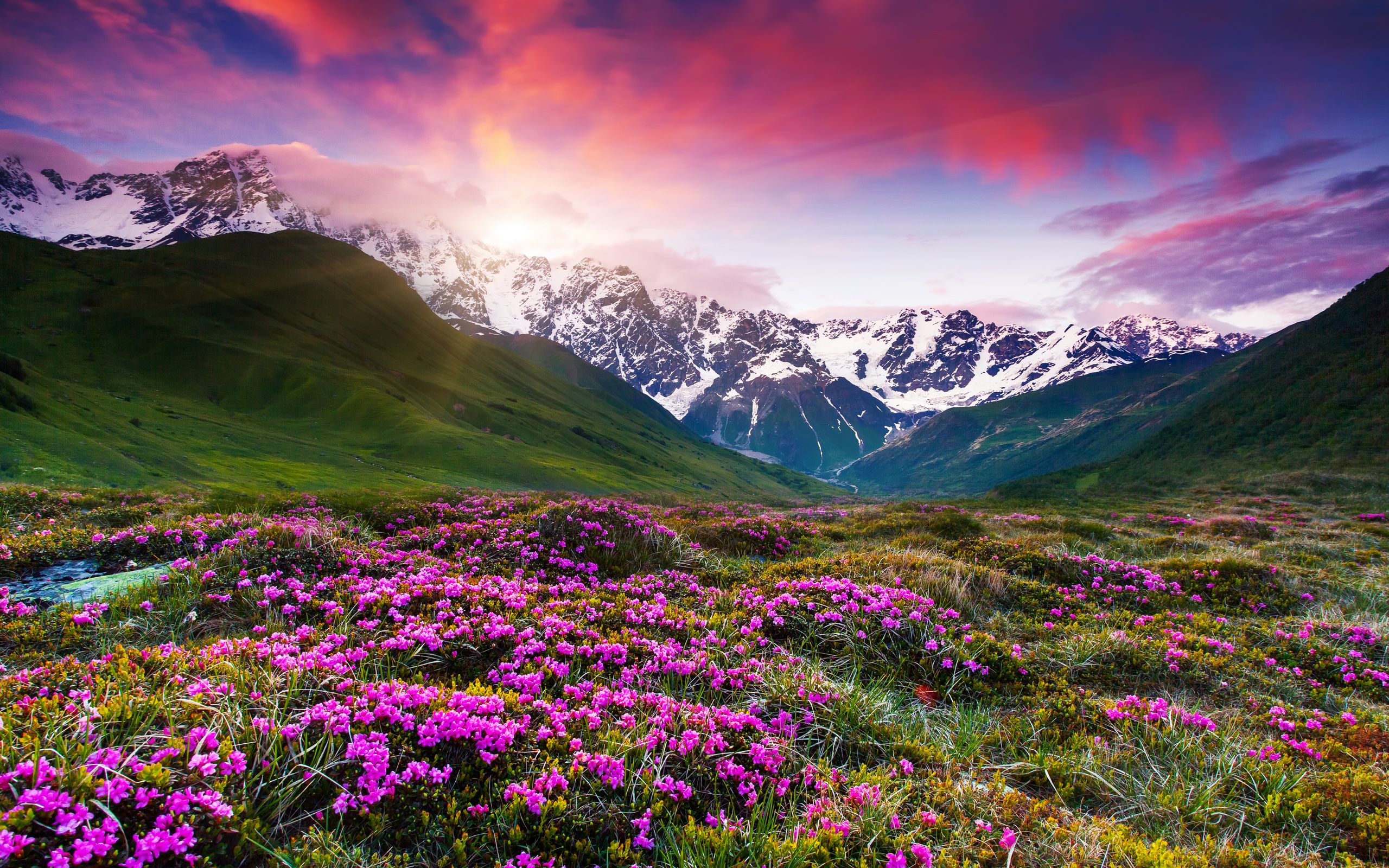 山脉山峰山顶鲜花风景图_5184