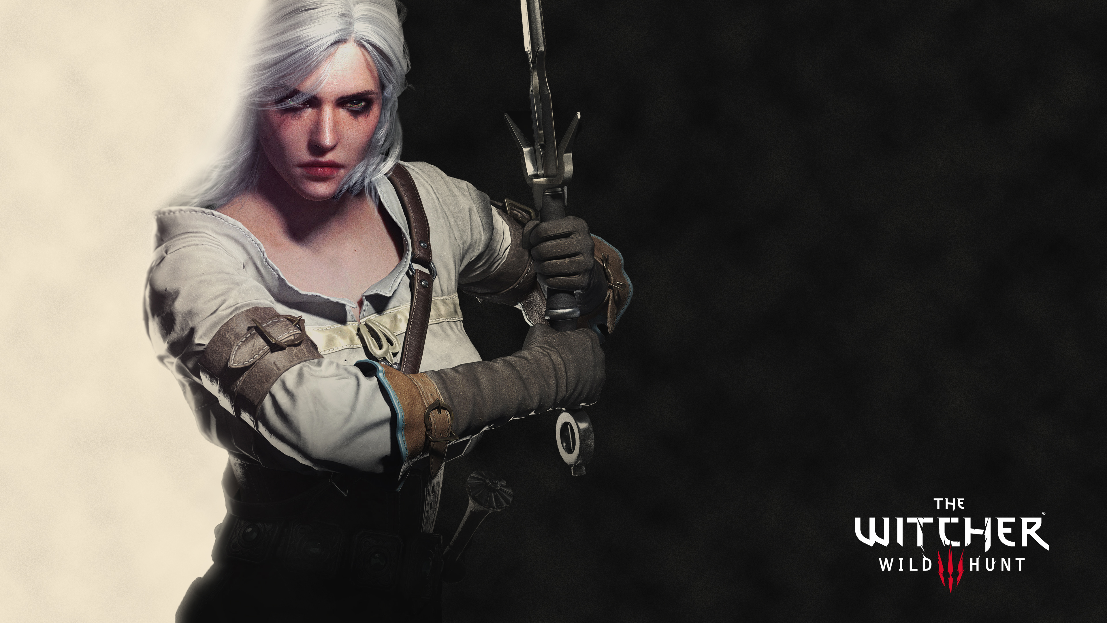 巫师3狂猎ciri 3840x216_13710