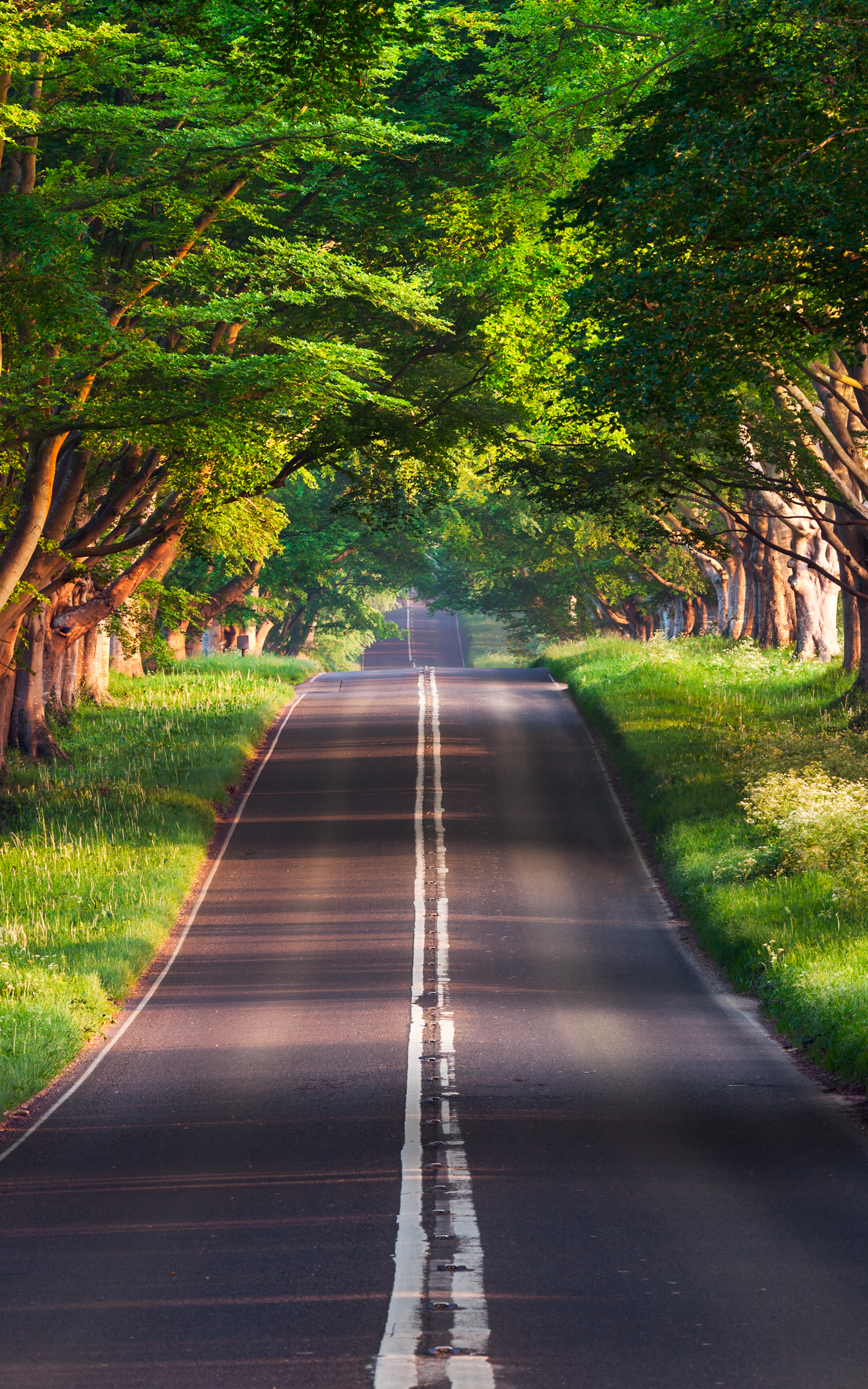 布兰福德路风景2k手机壁_18339