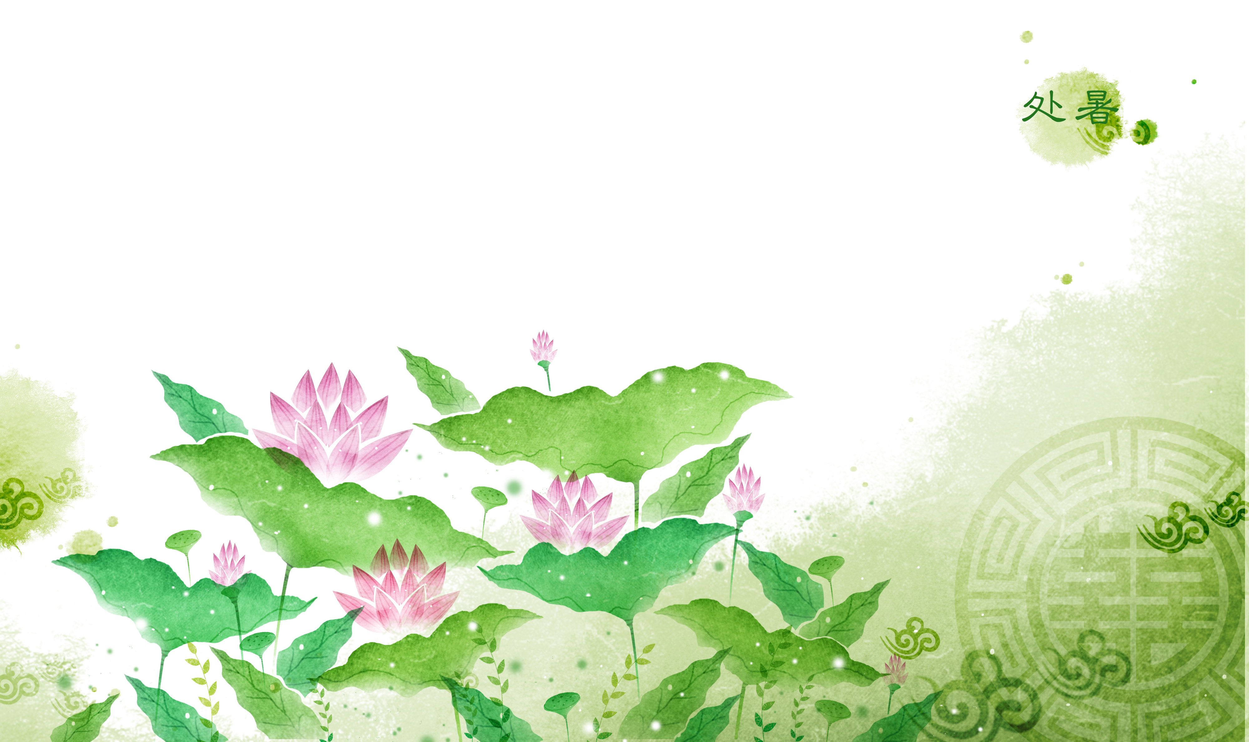 手绘莲花图  24节气 处_13557
