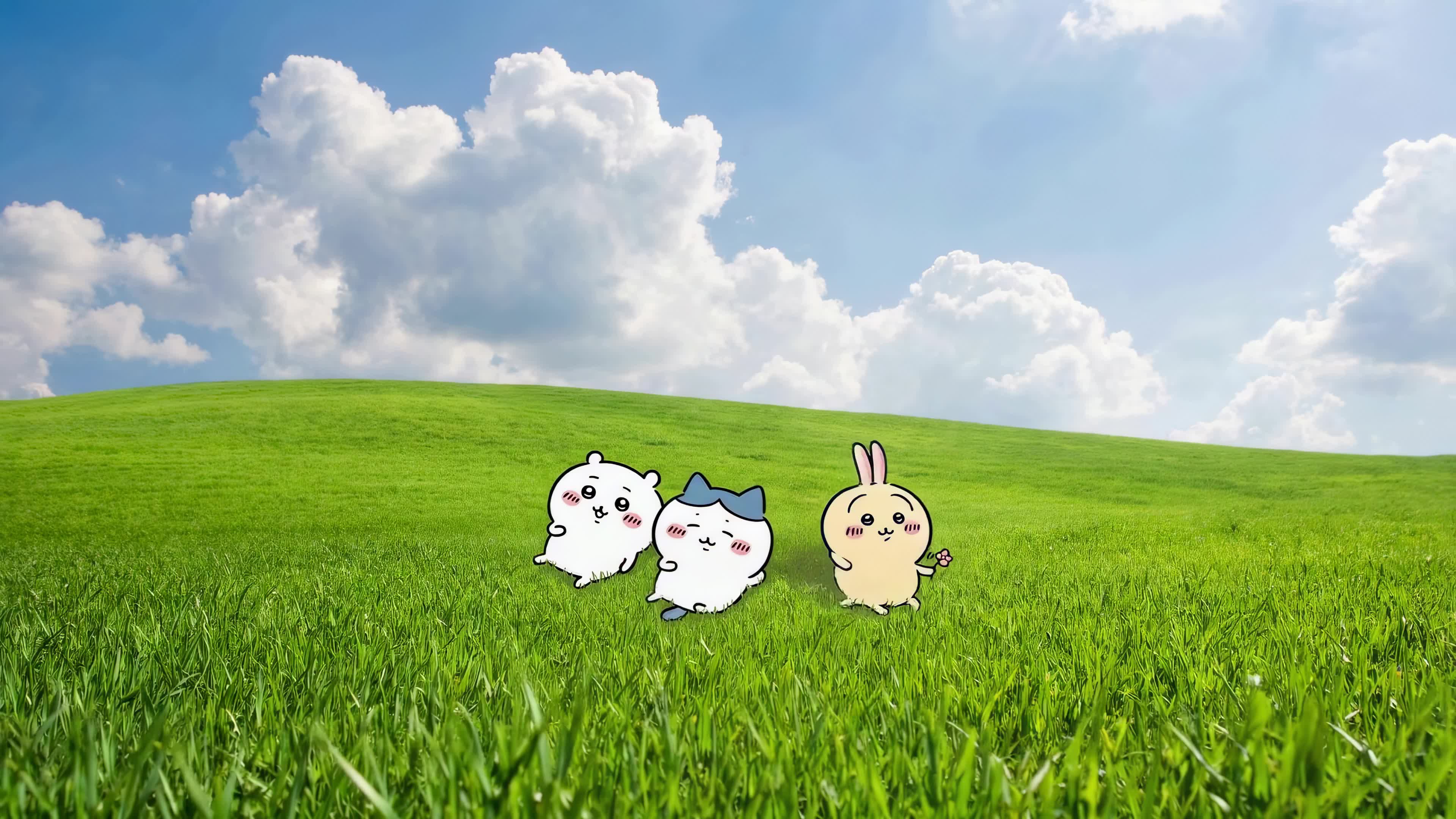 草地吉伊卡哇