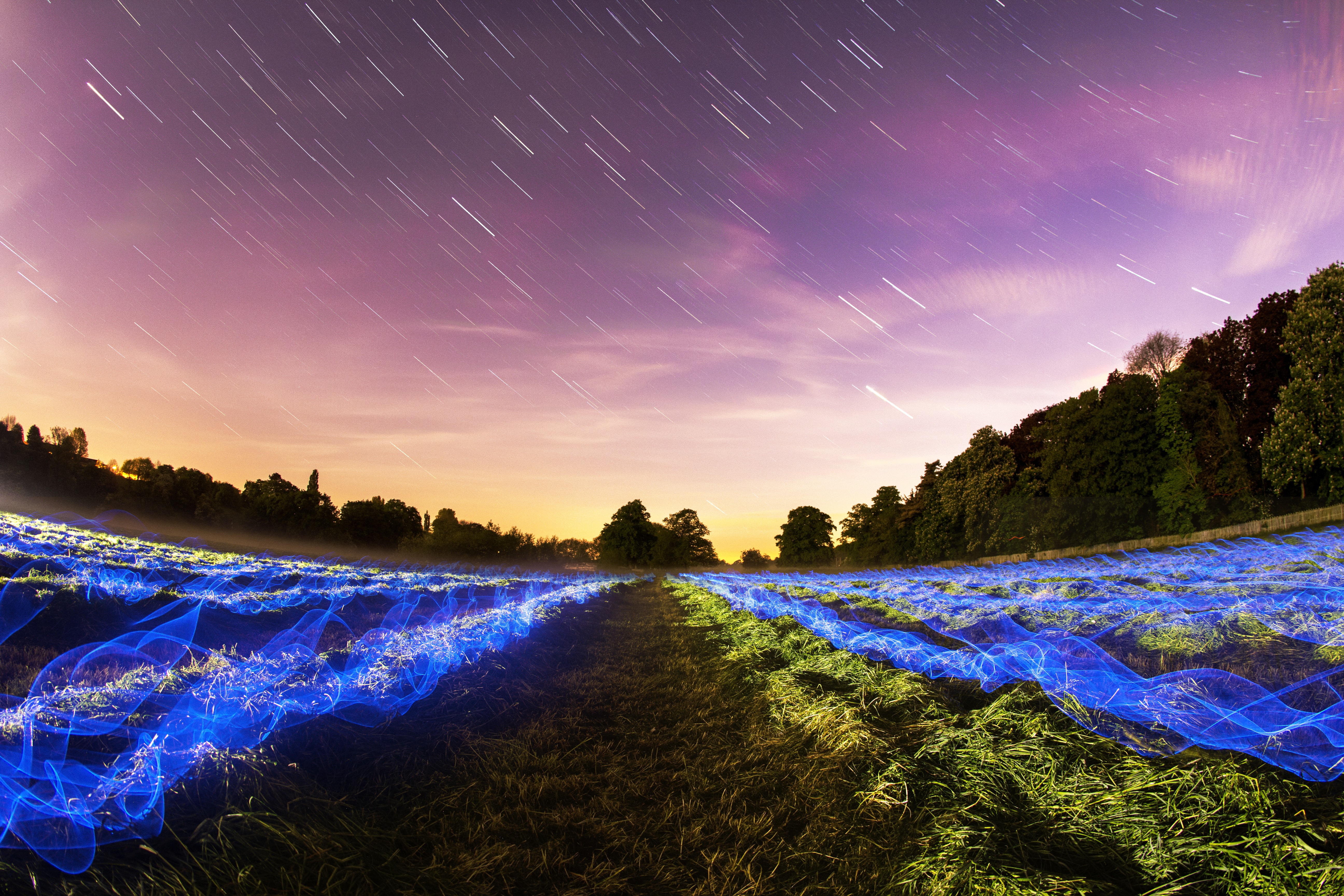 星星 原野 夜 绿色 草_11426
