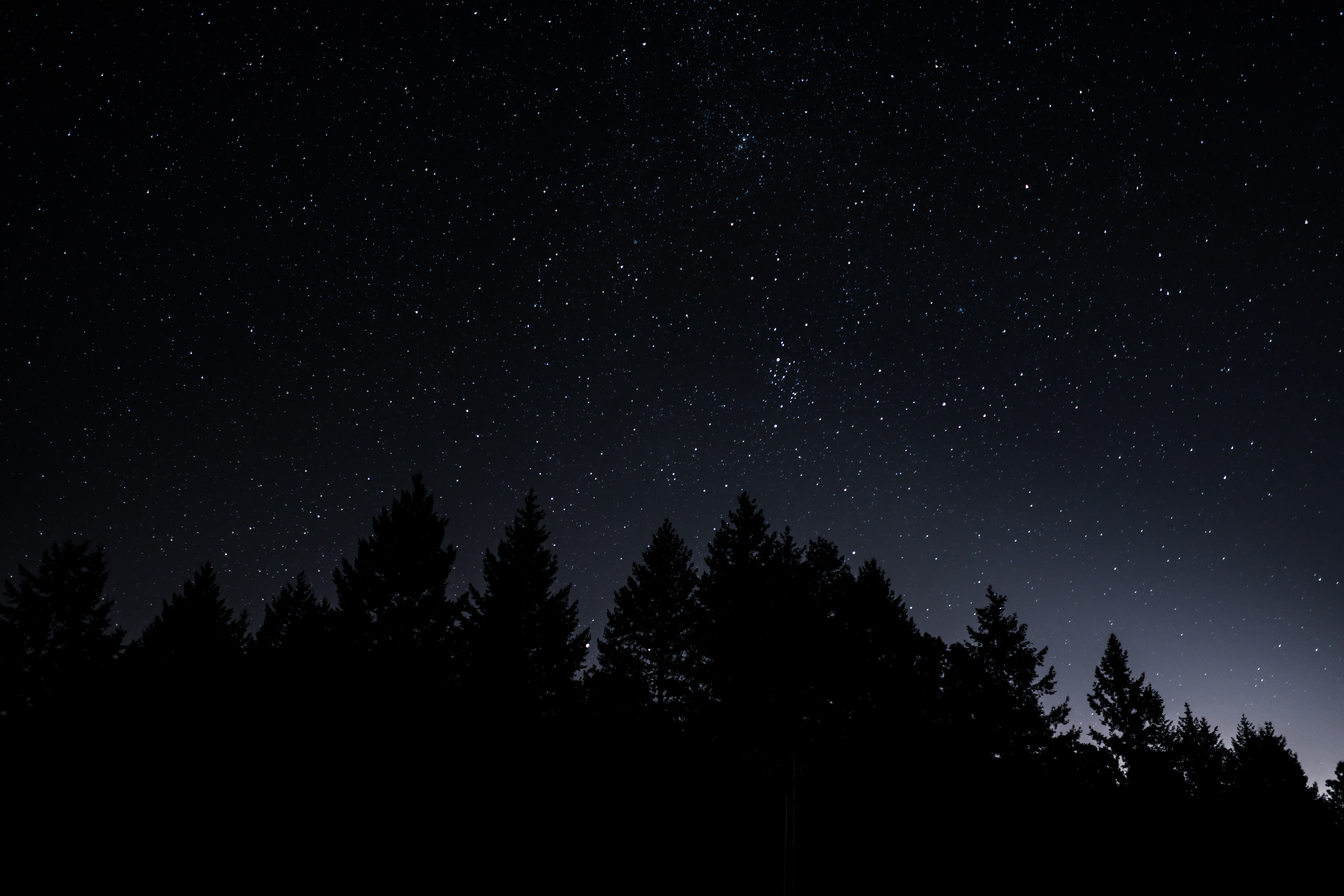 星空,树木,晚上风景8k壁_17297