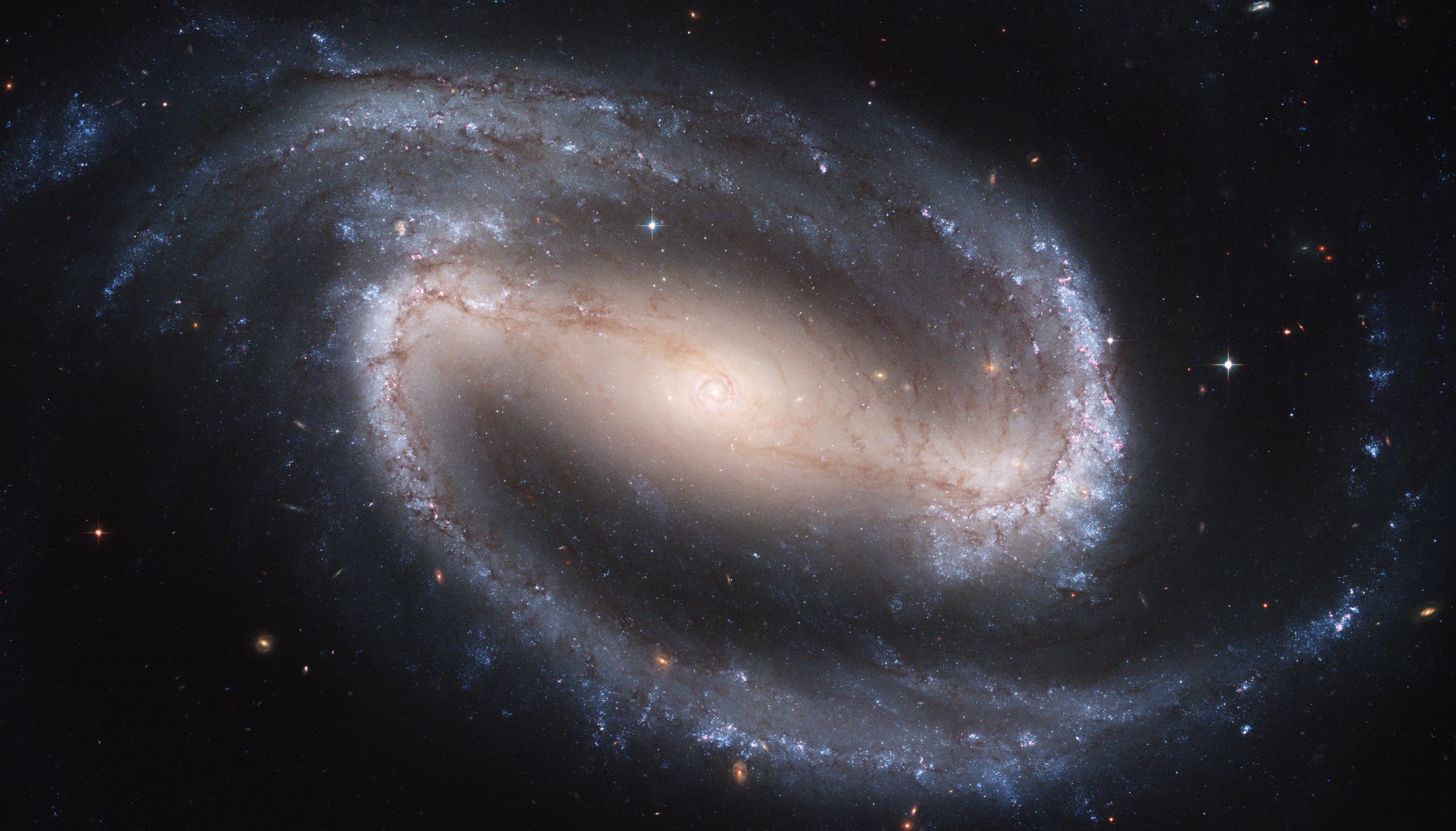 星系 棒的旋星系 鲸鱼星_8585