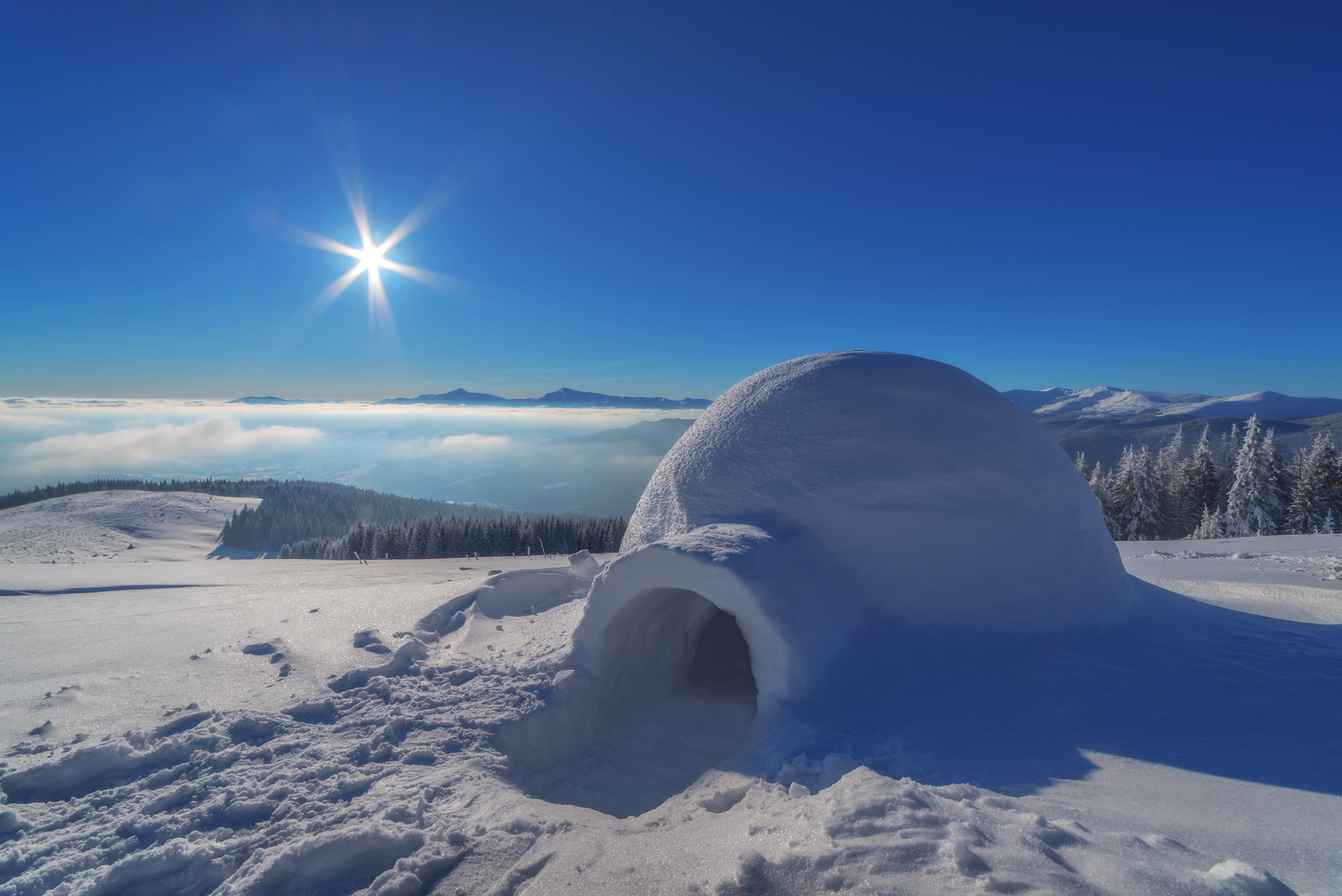 景观 雪屋 树林 天空 太_6734