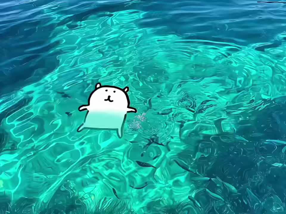 自嘲熊