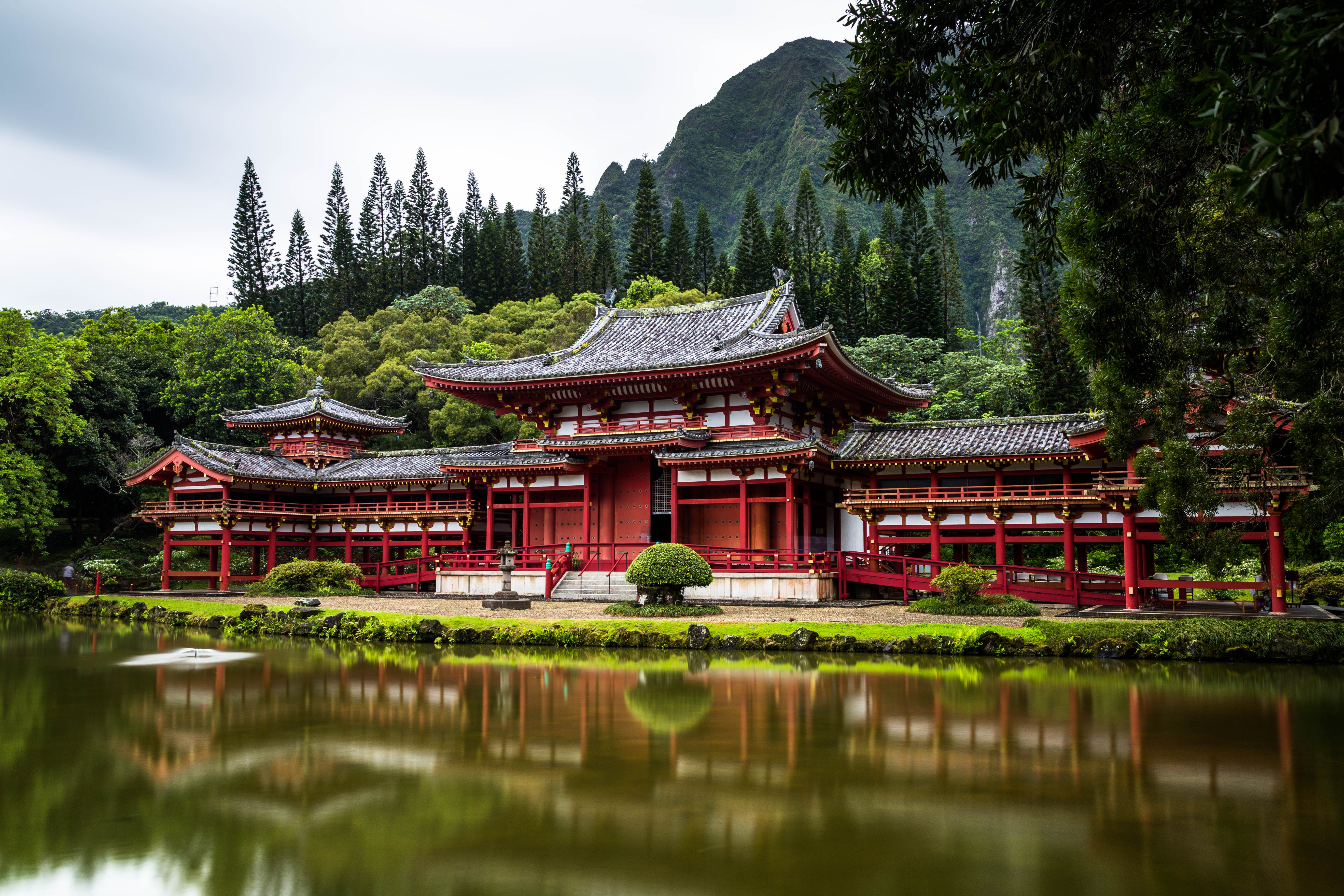 树 寺庙和池塘高清4K风_12532