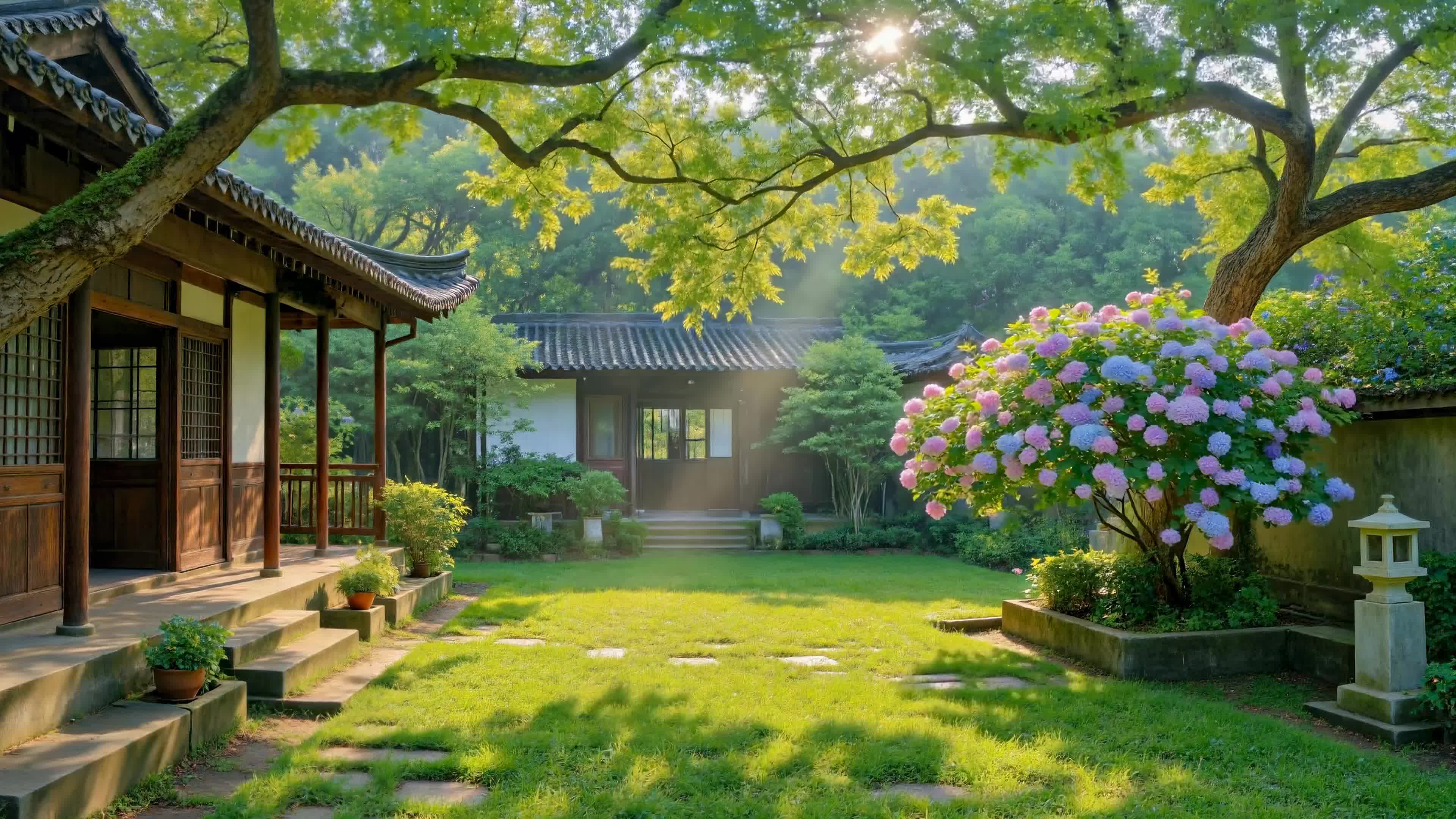 晨光静美中式庭院