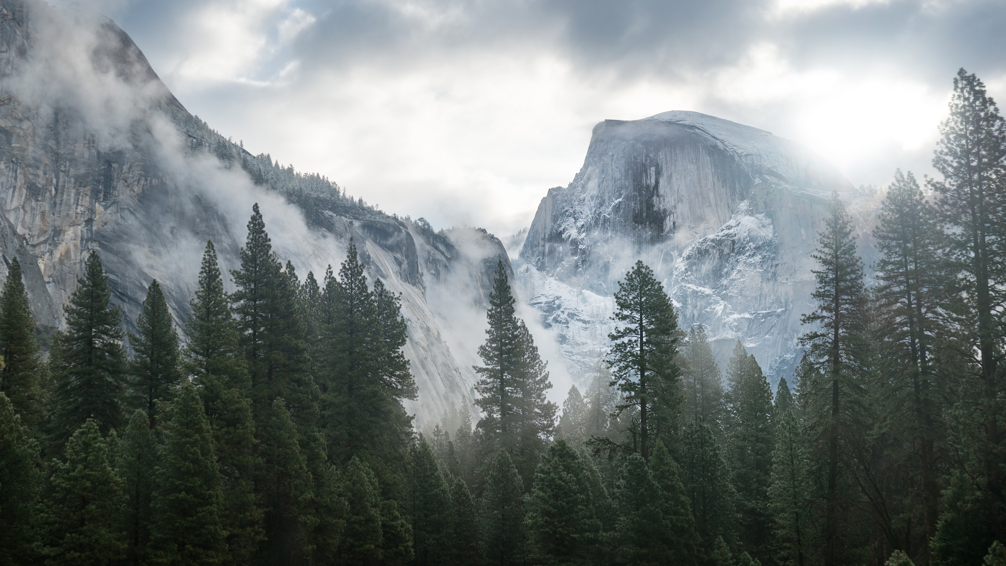 树林 山 自然美景 4k壁_5920