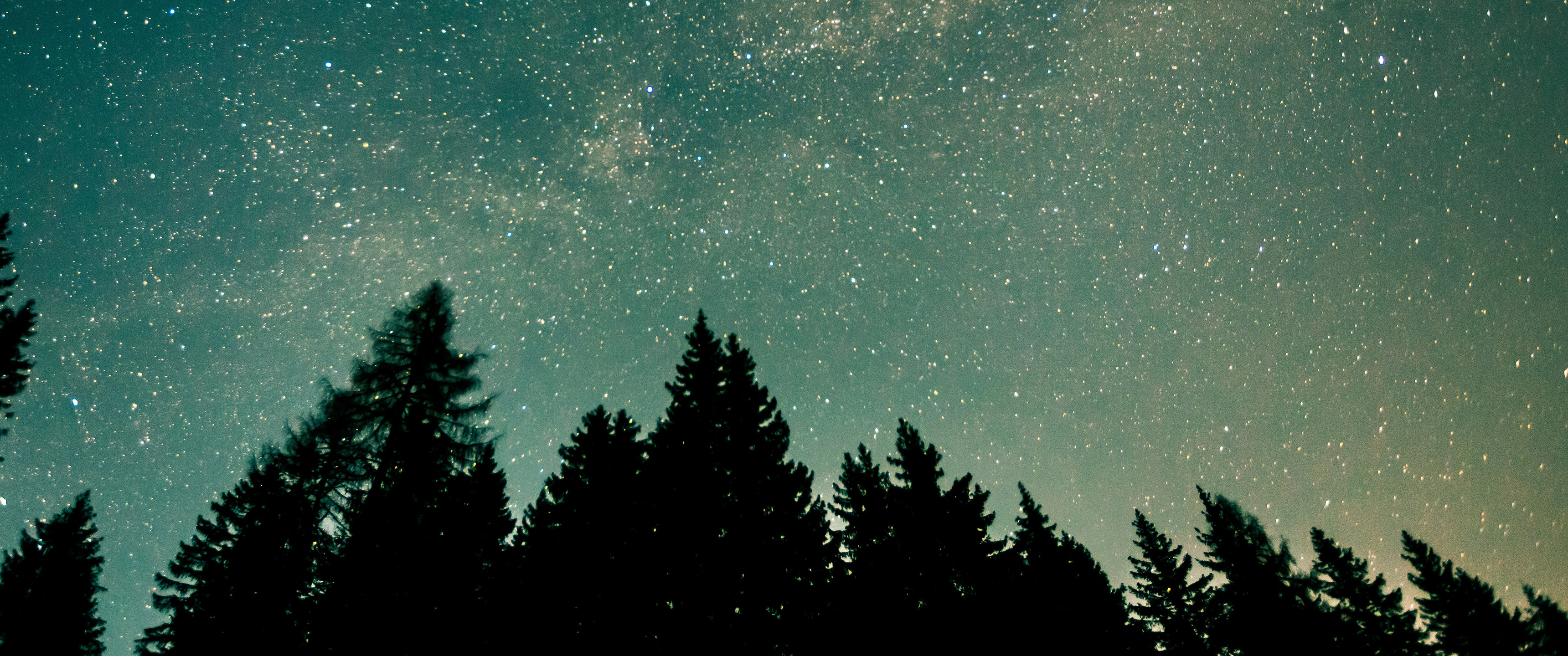 森林星空夜间3440x1440_20764