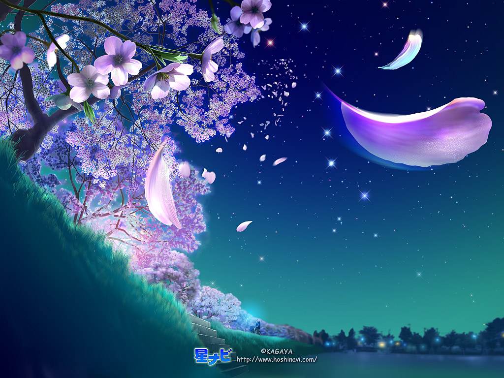 樱花之星 梦幻星空图片_4351