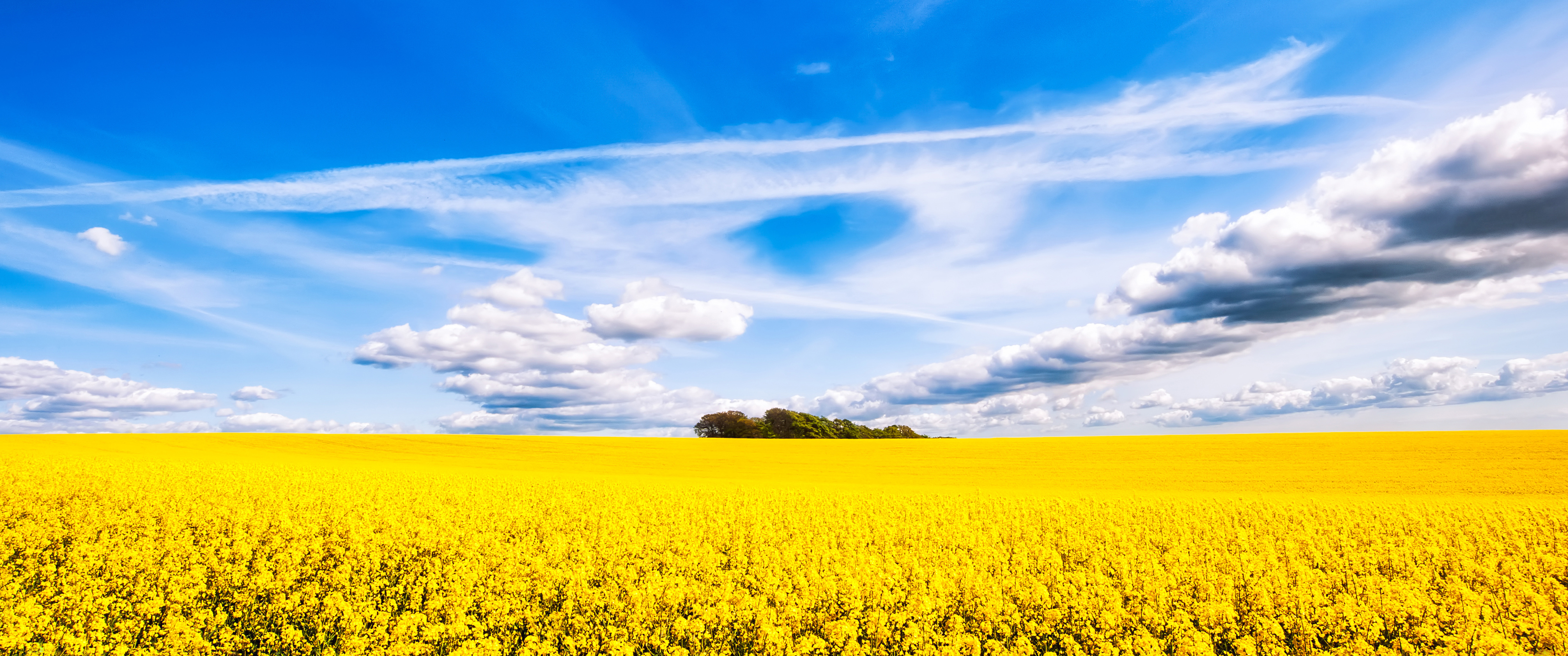 油菜花的天空3440x1440_18555