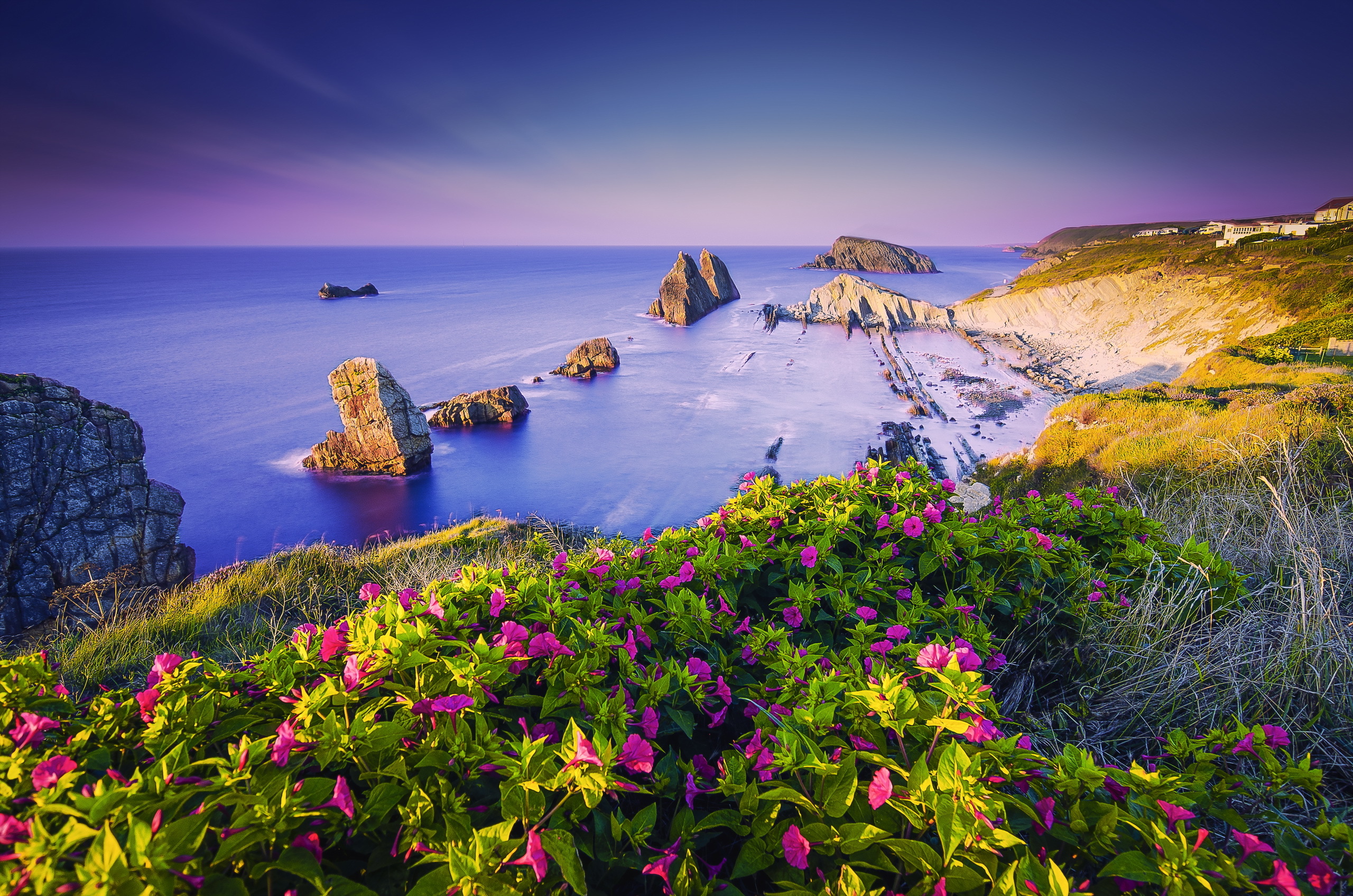 海,岩石,夏天,鲜花,风景_3945
