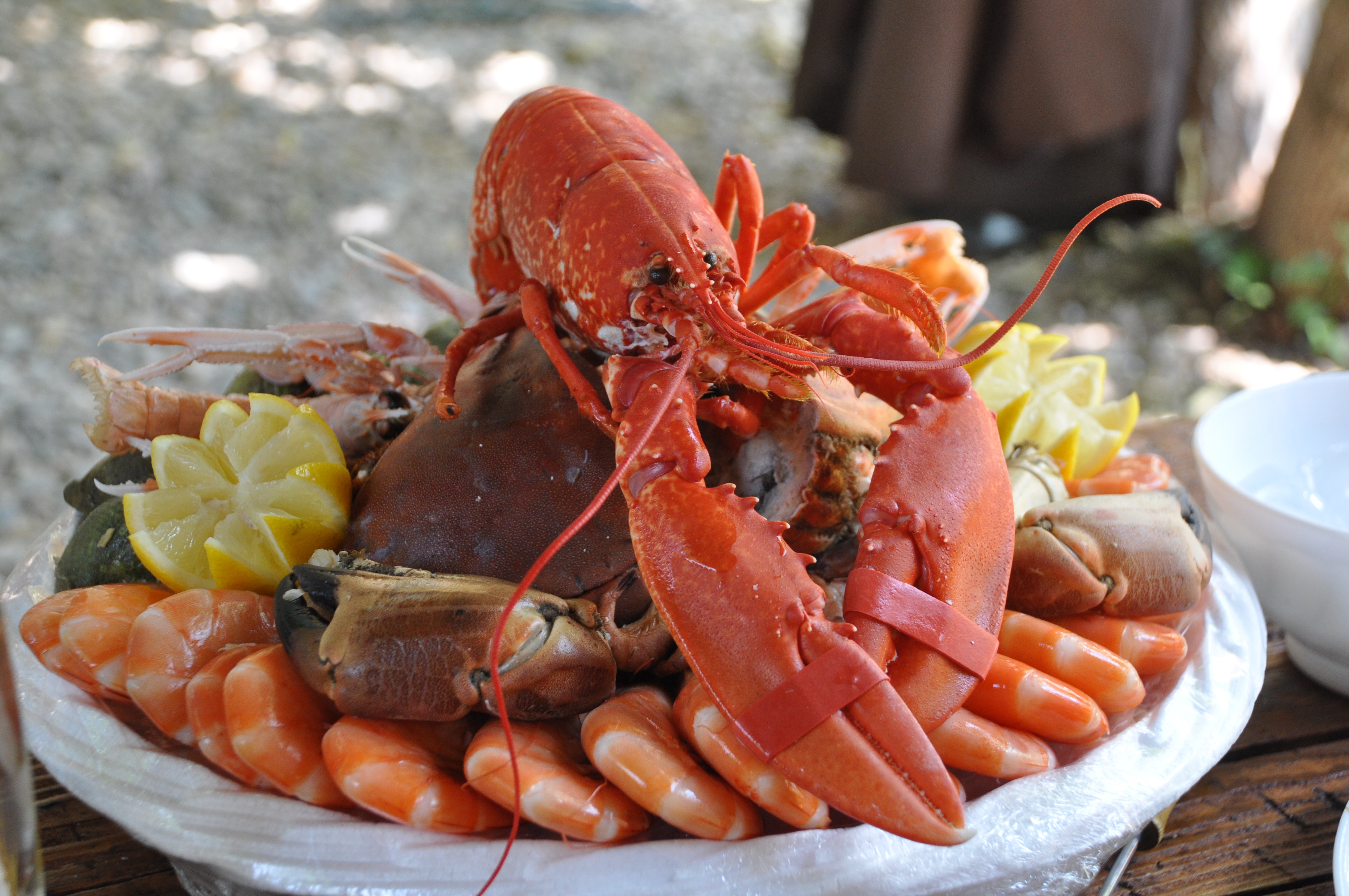 海鲜拼盘 食品 海鲜 龙_7793