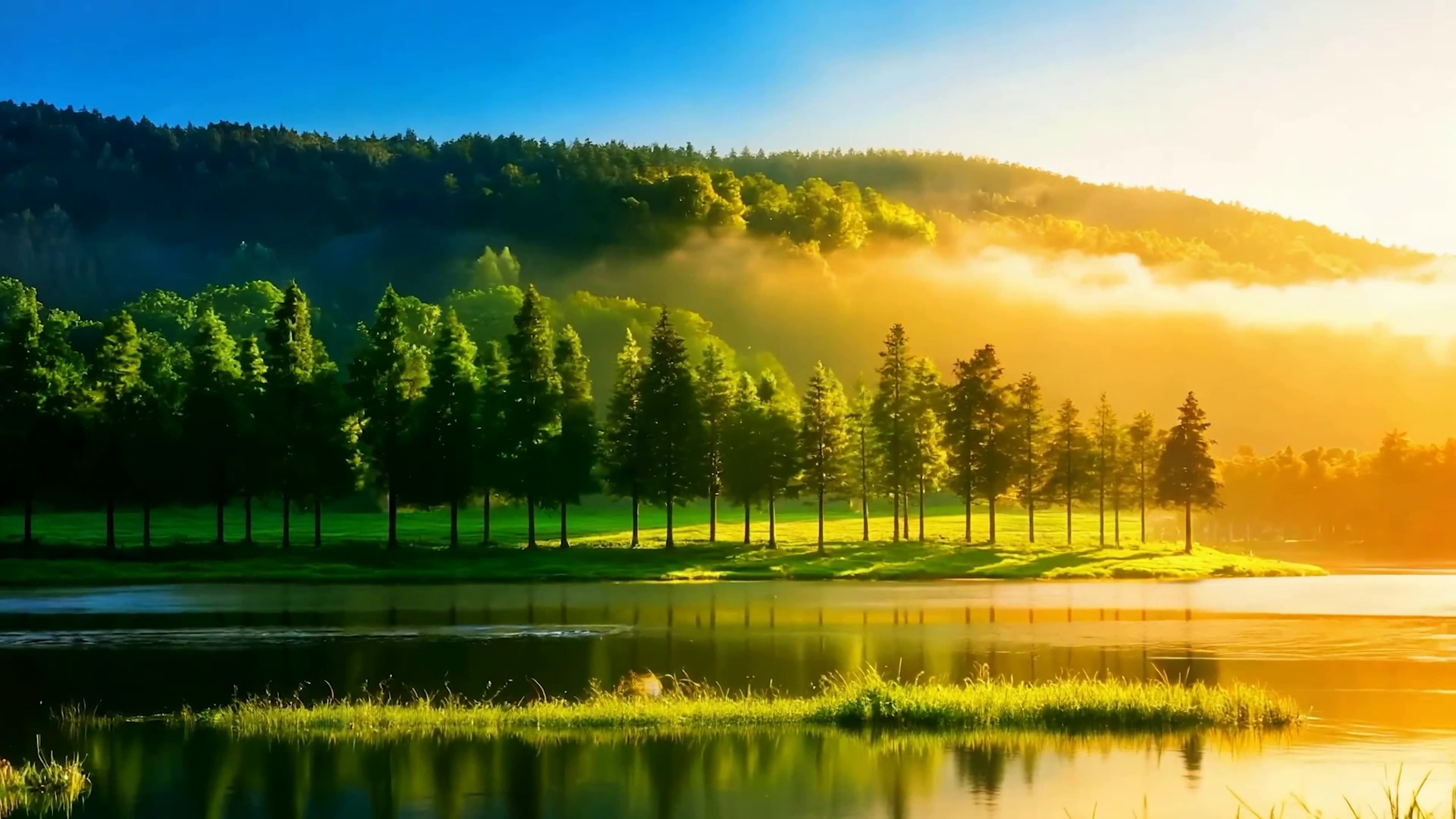 护眼绿景