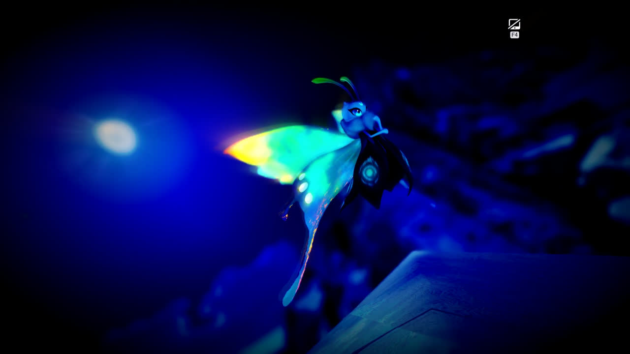 Gracewing 夜晚