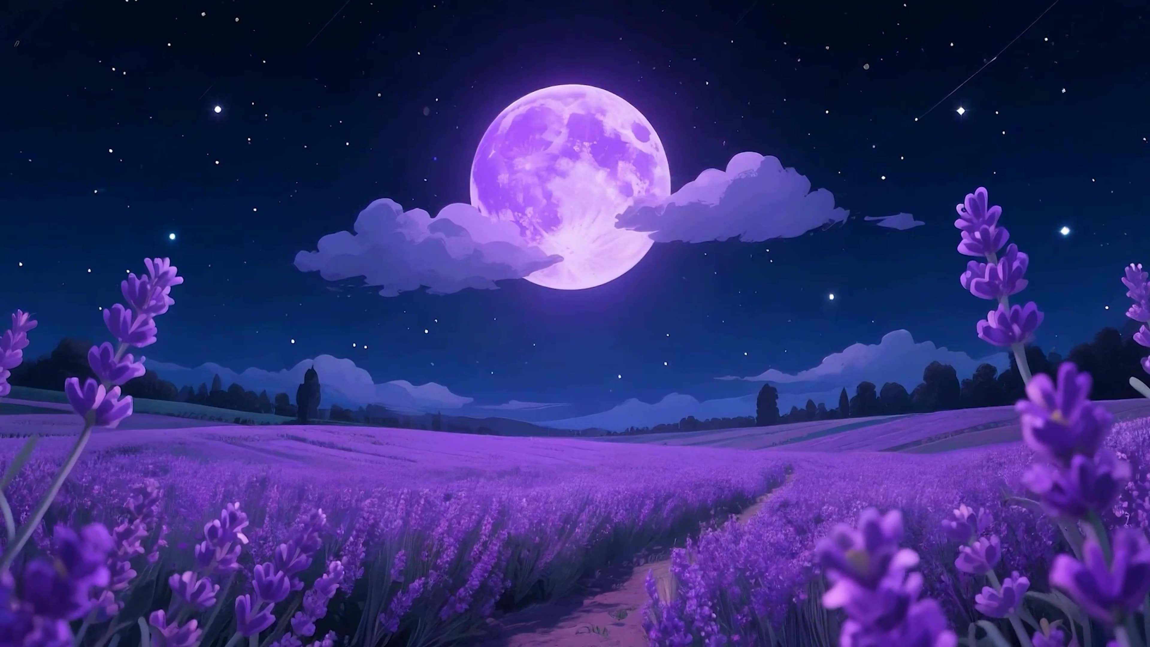 夜景星空树木