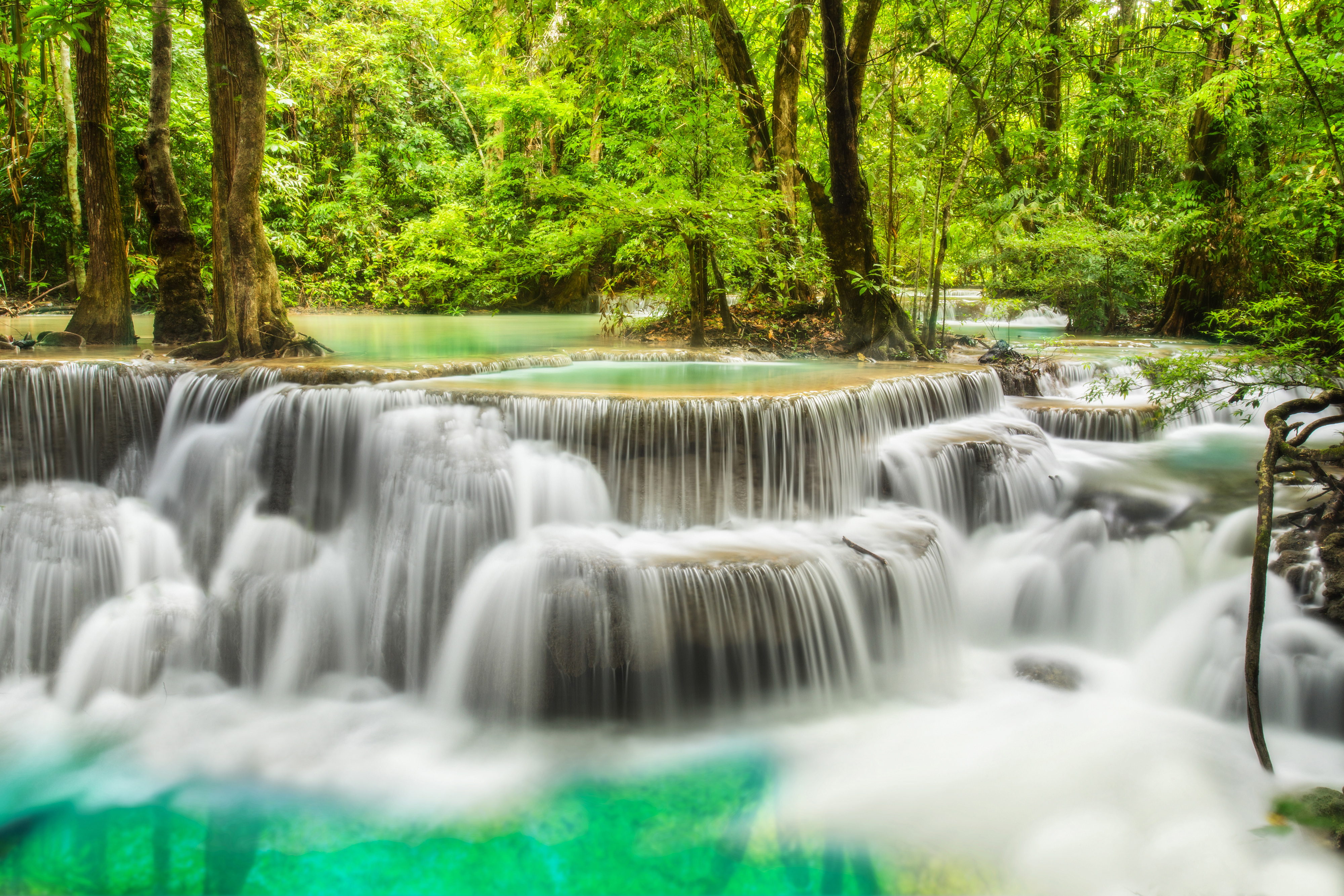 瀑布 绿色森林 风景 4K_9789