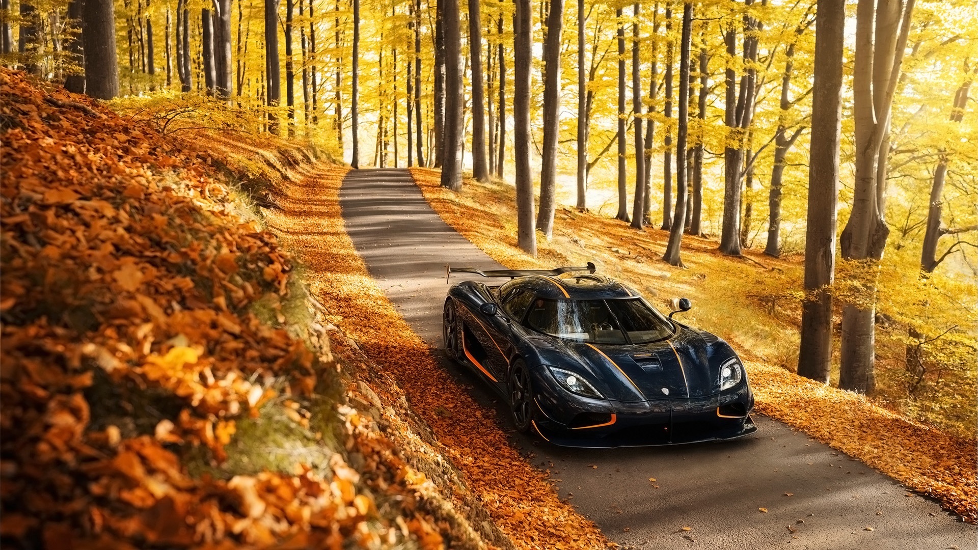 秋天道路风景 科尼赛克_7029
