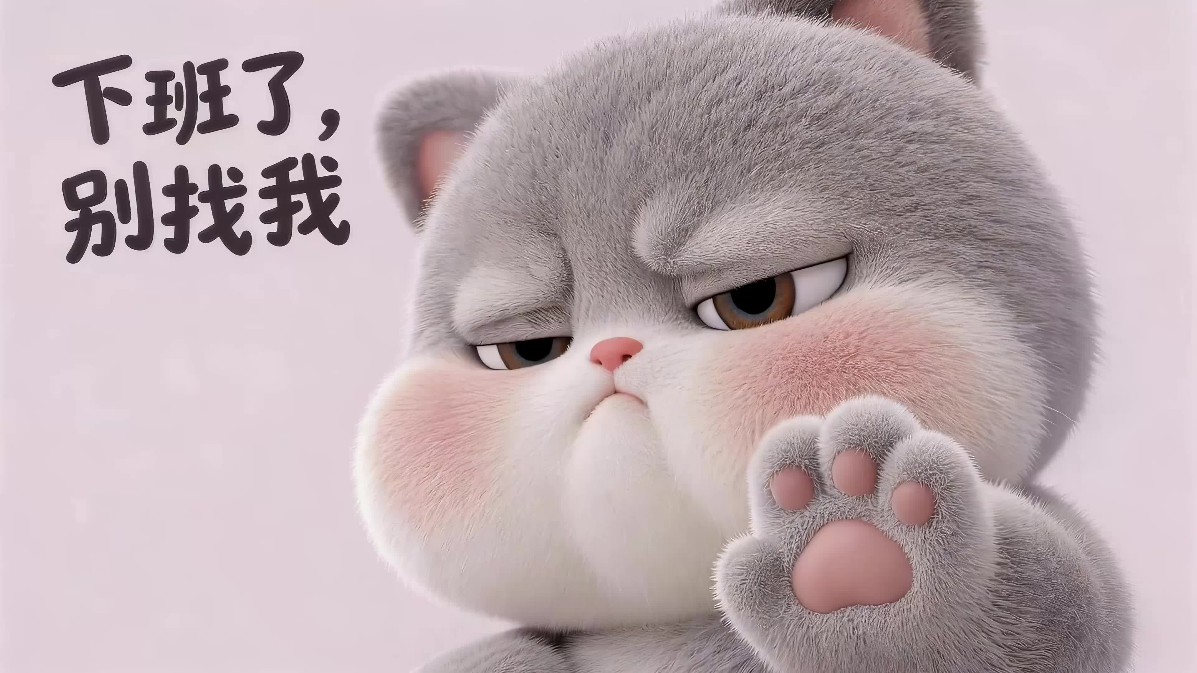 趣味小猫