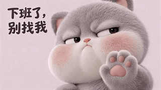 趣味小猫