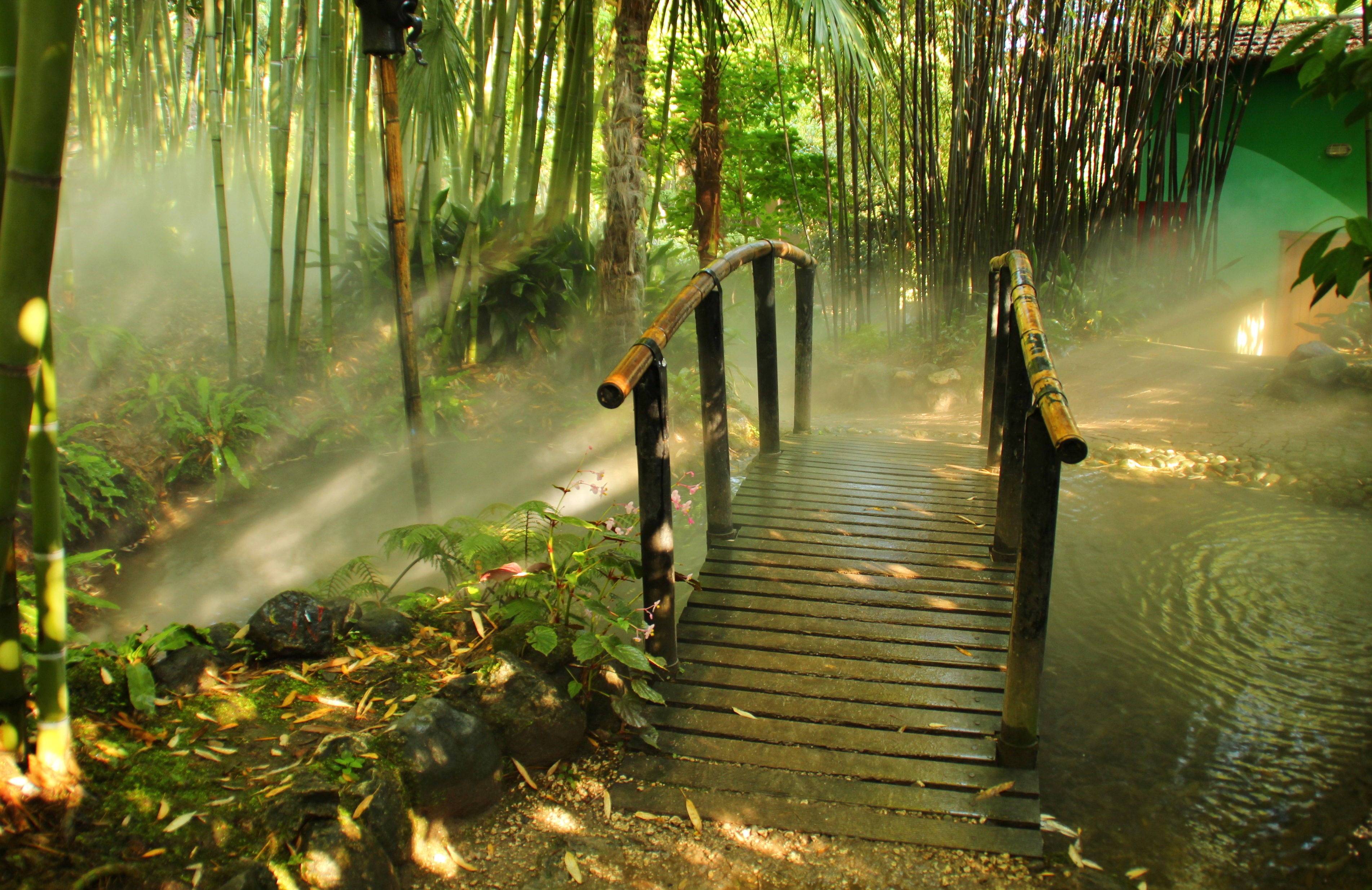 竹桥4K风景壁纸_8046