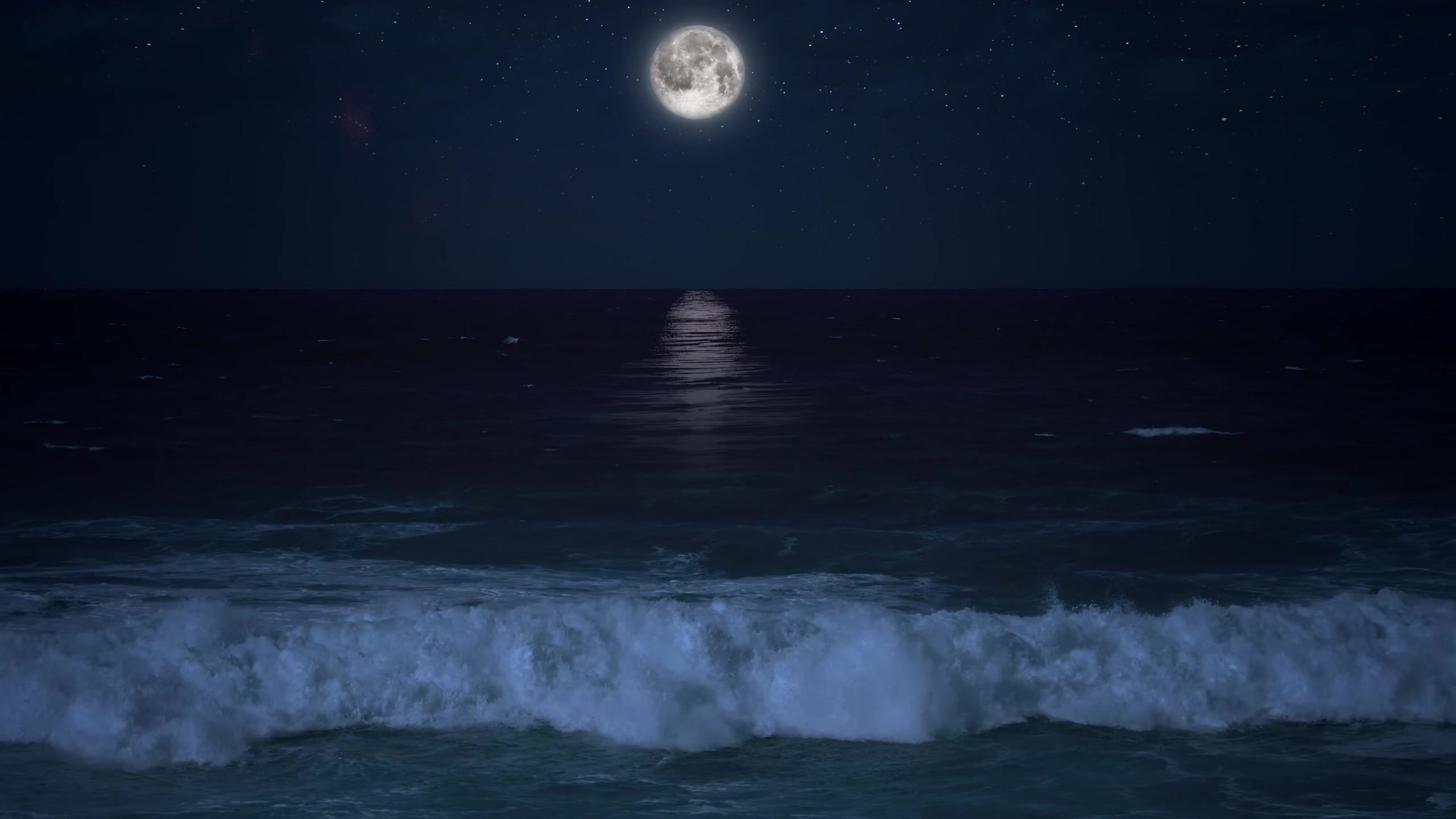 海月