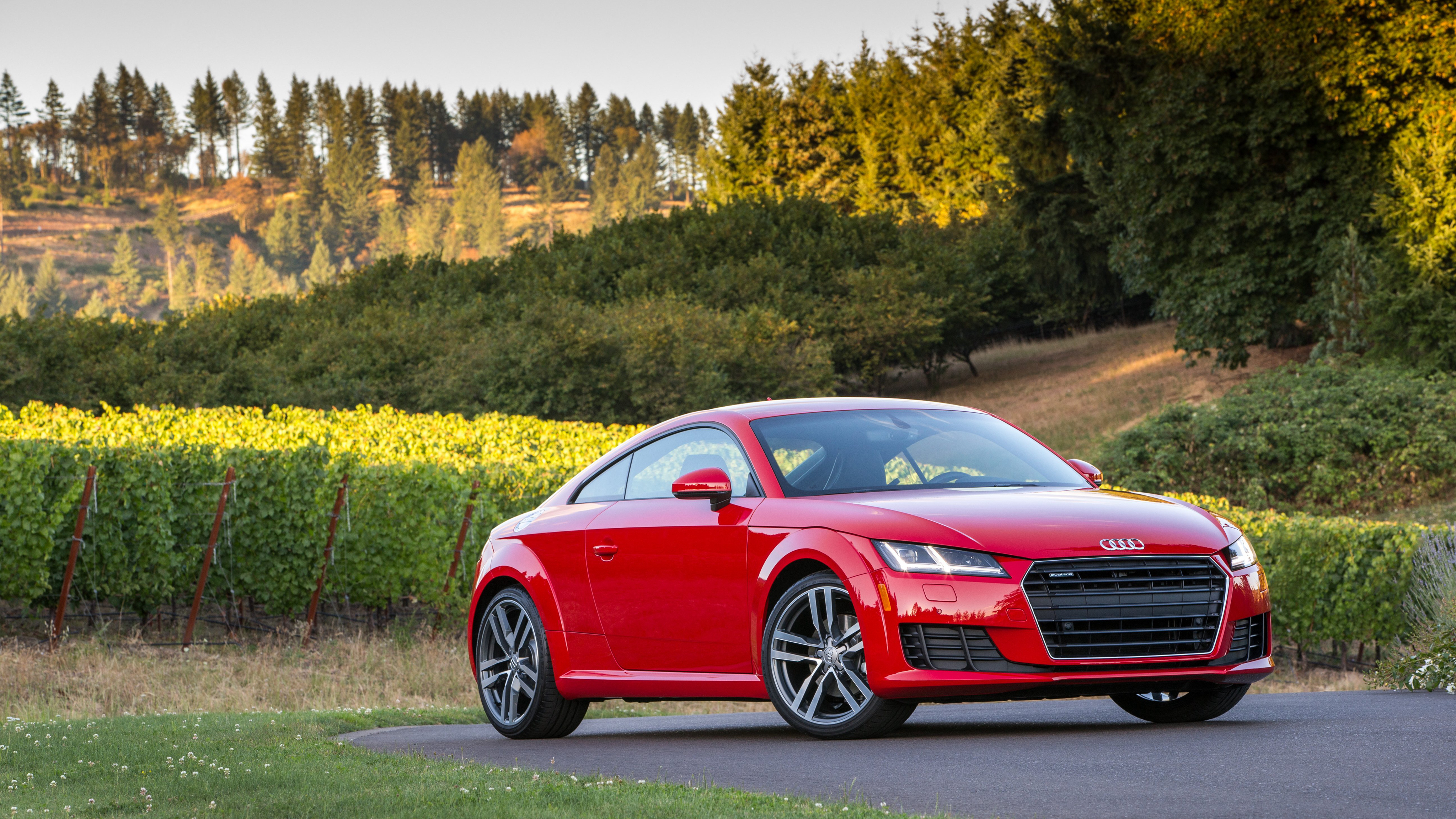 红色奥迪Quattro TFSI 4_6657