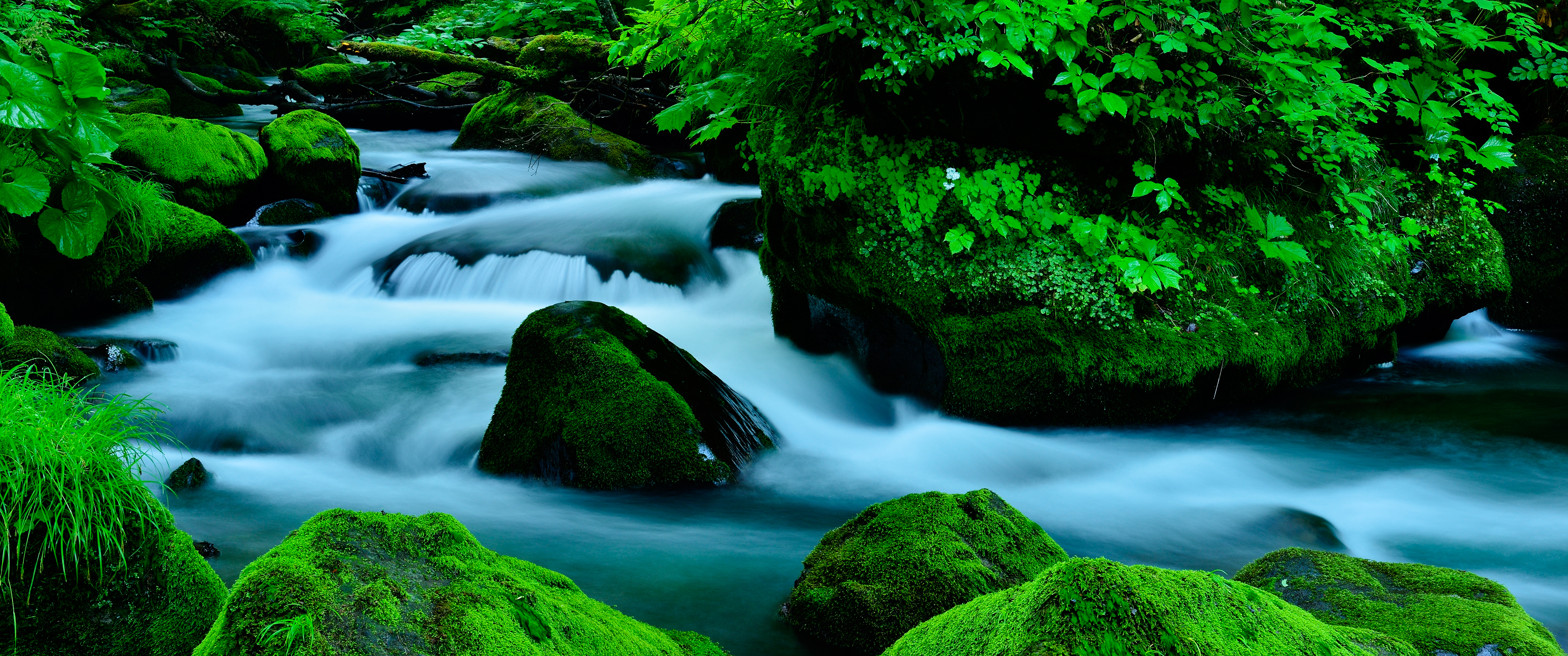 绿色峡谷3440x1440风景_20579