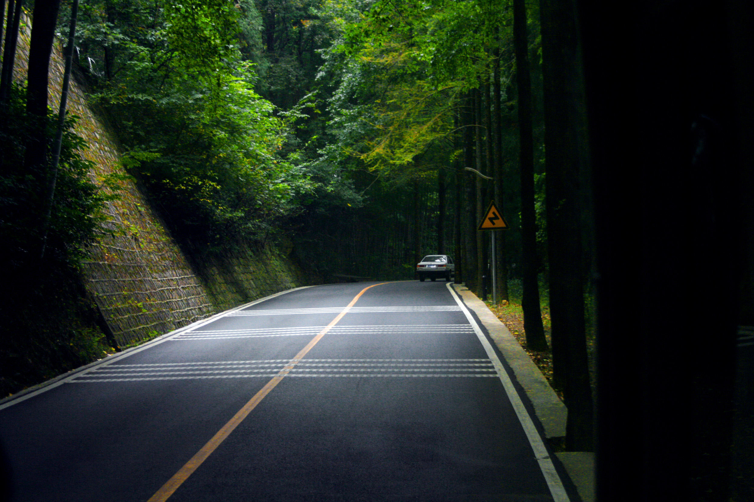 绿色森林公路风景图片_3470