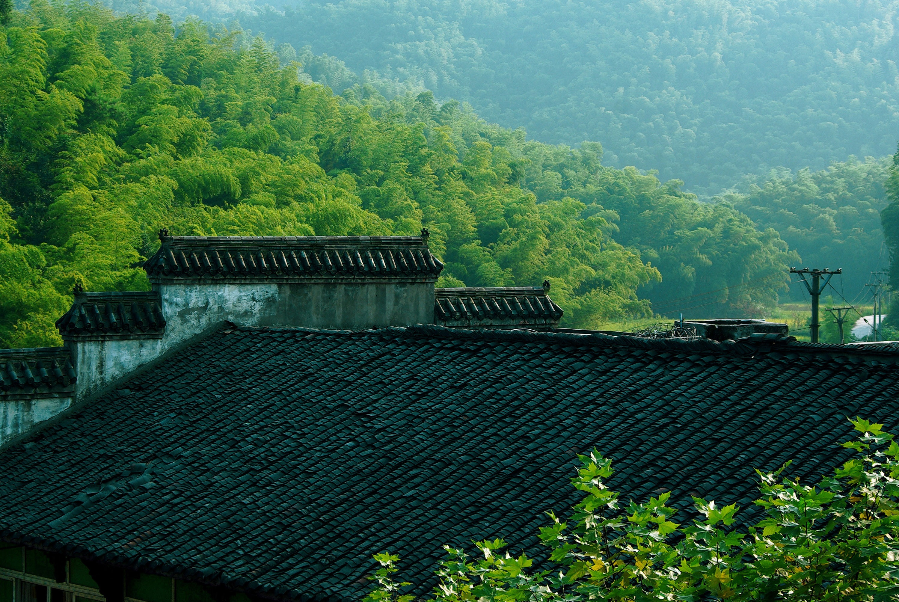 美丽的四川古镇风景摄影_2649