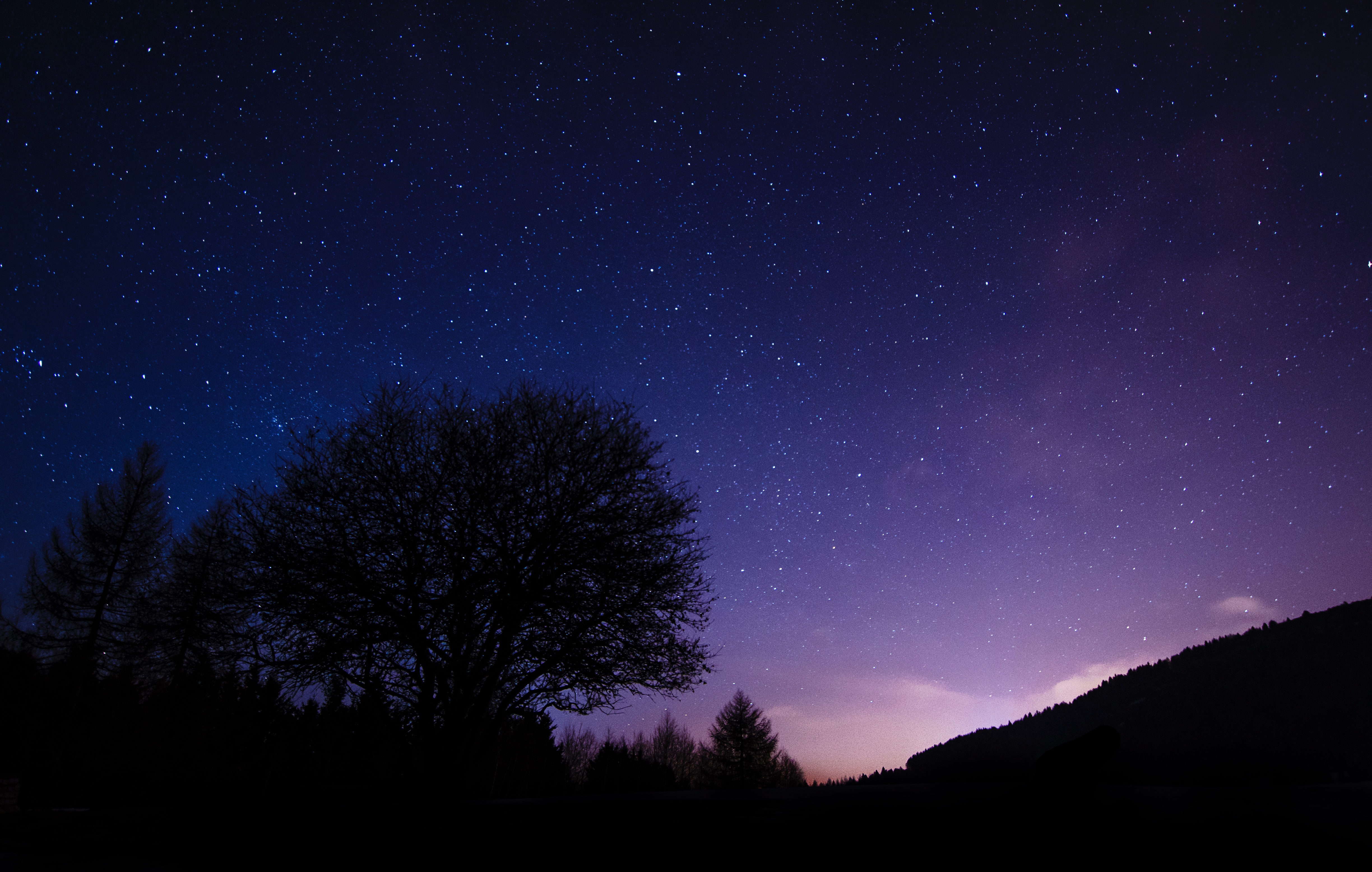 美丽的夜晚 树 星空 4K_8980