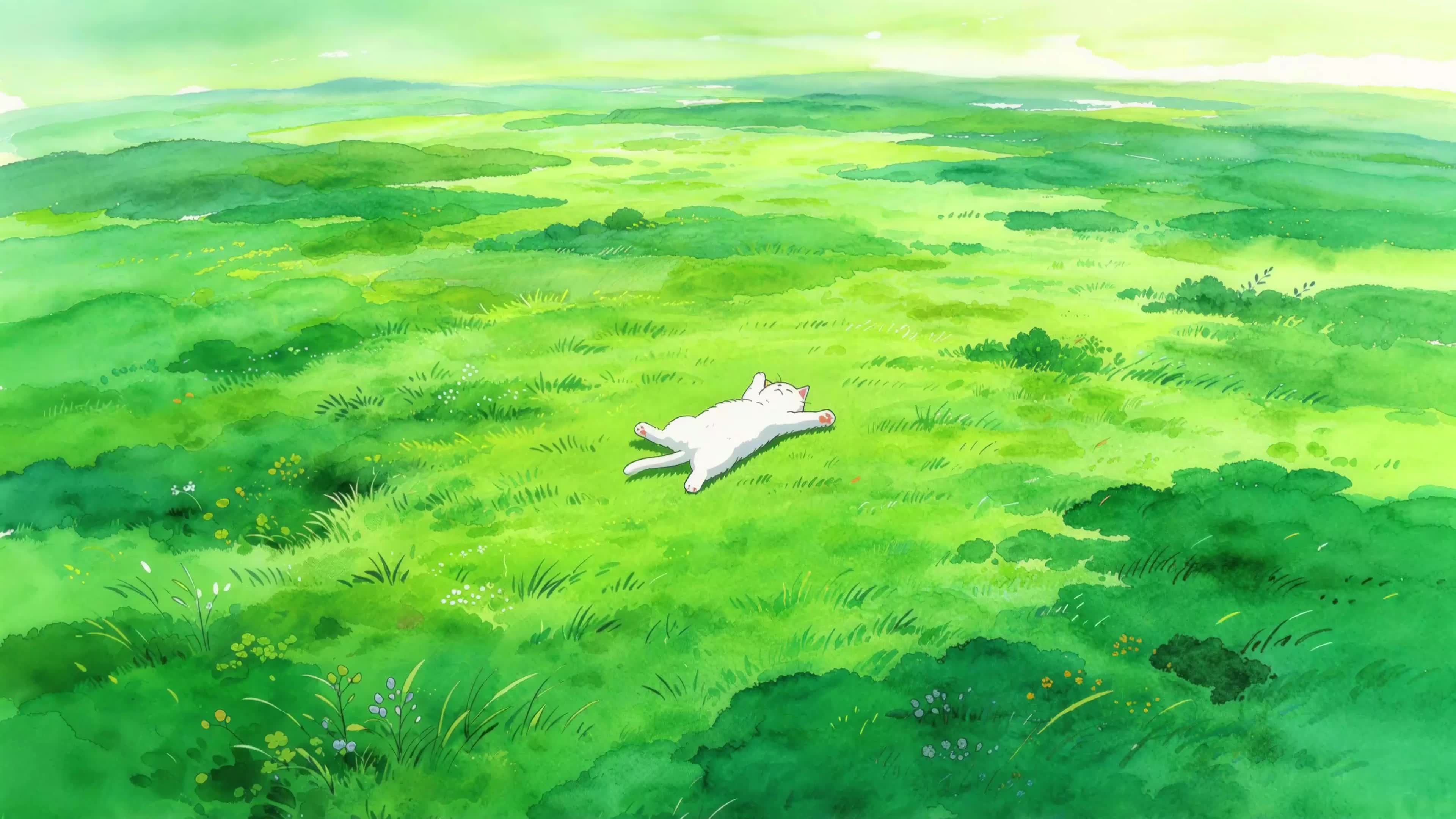 治愈青草地
