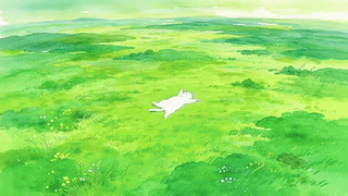 治愈青草地