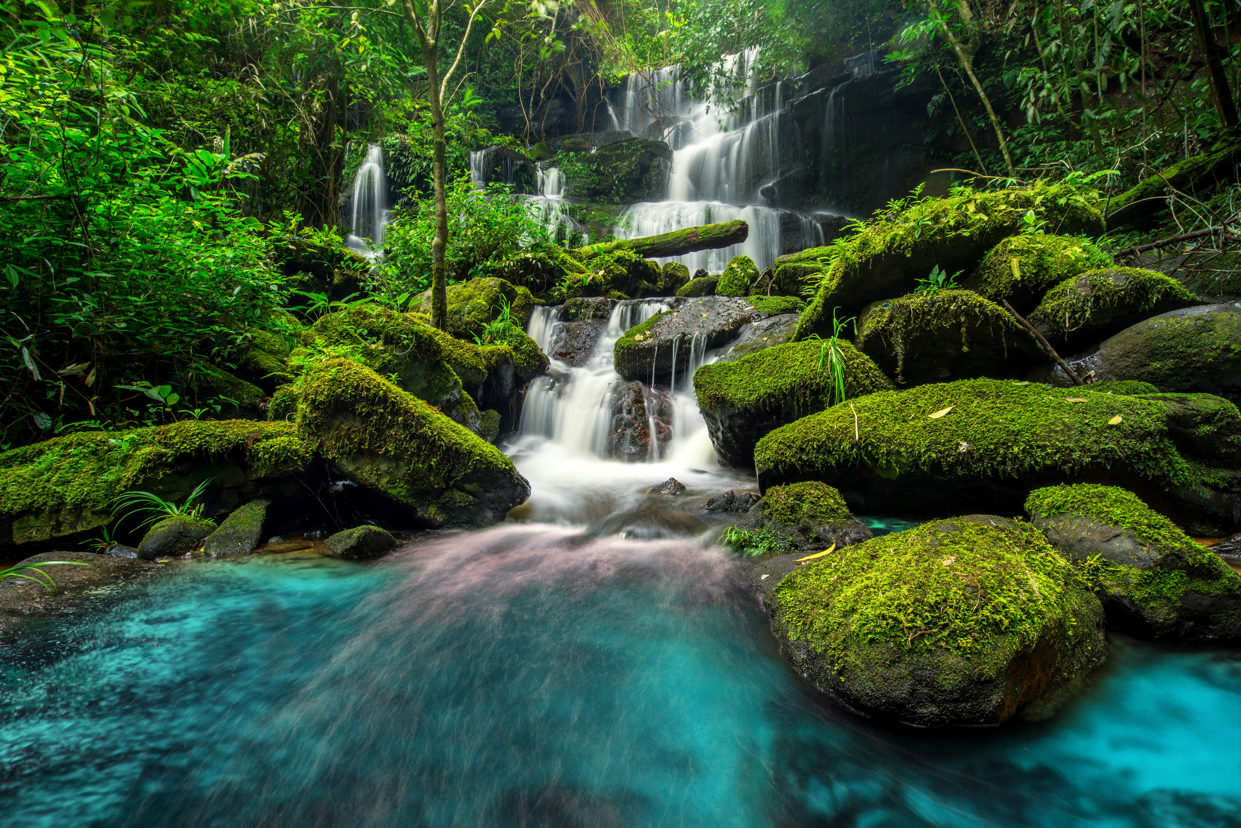 自然森林小溪瀑布风景4K_9699